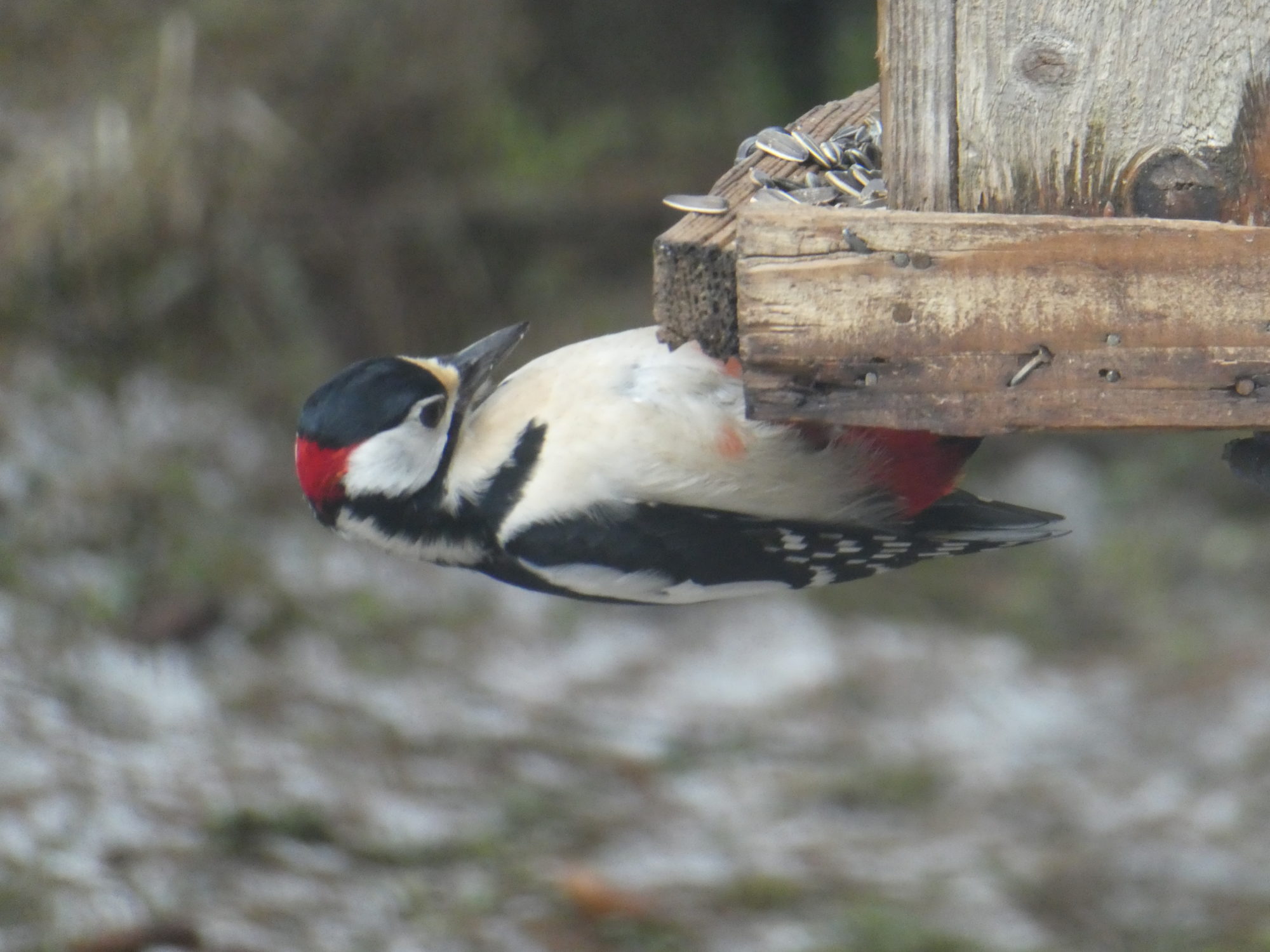 Valokuvaaja: Anja Mustamaa