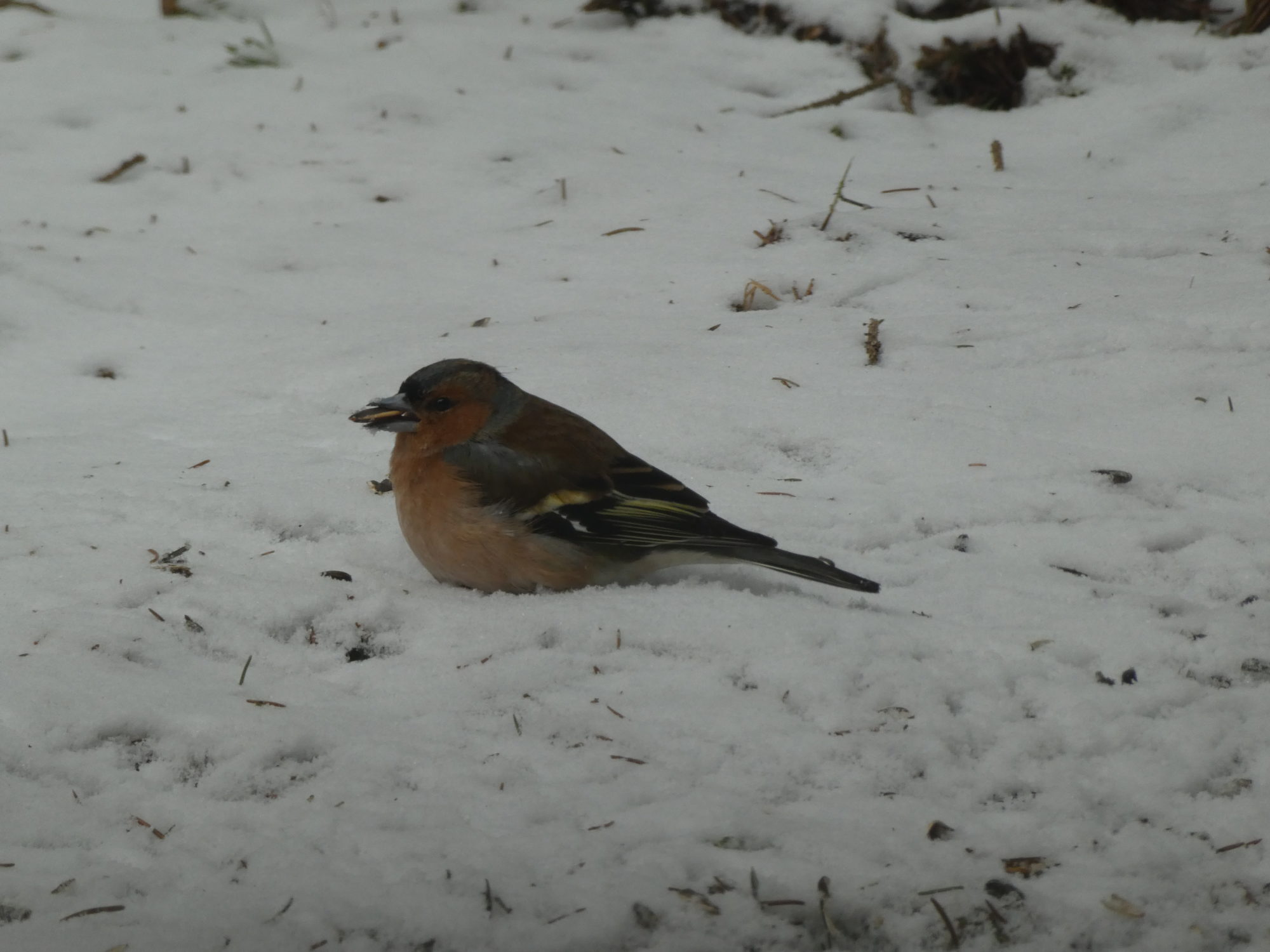 Valokuvaaja: Anja Mustamaa