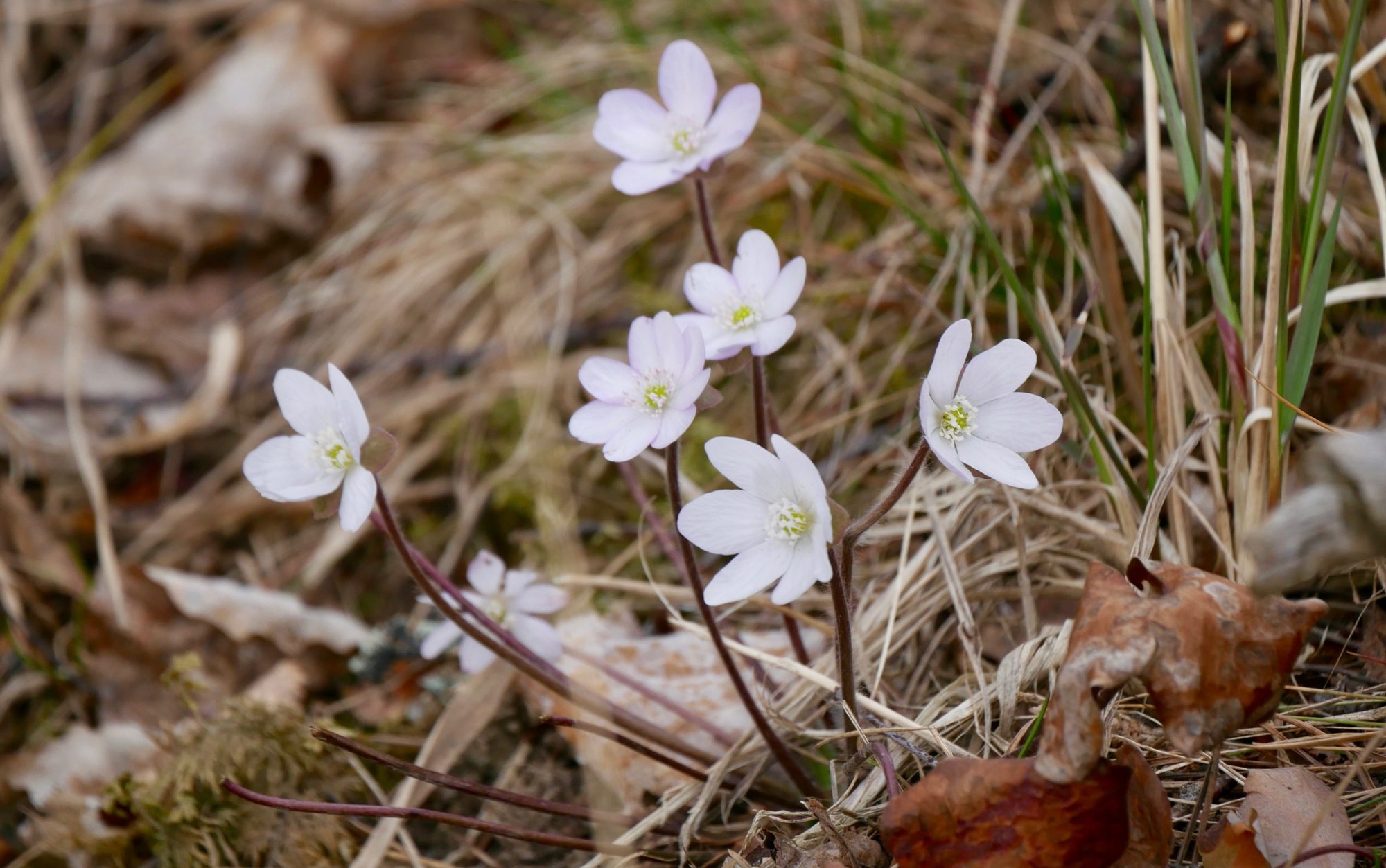 Valokuvaaja: Virpi Kautto
