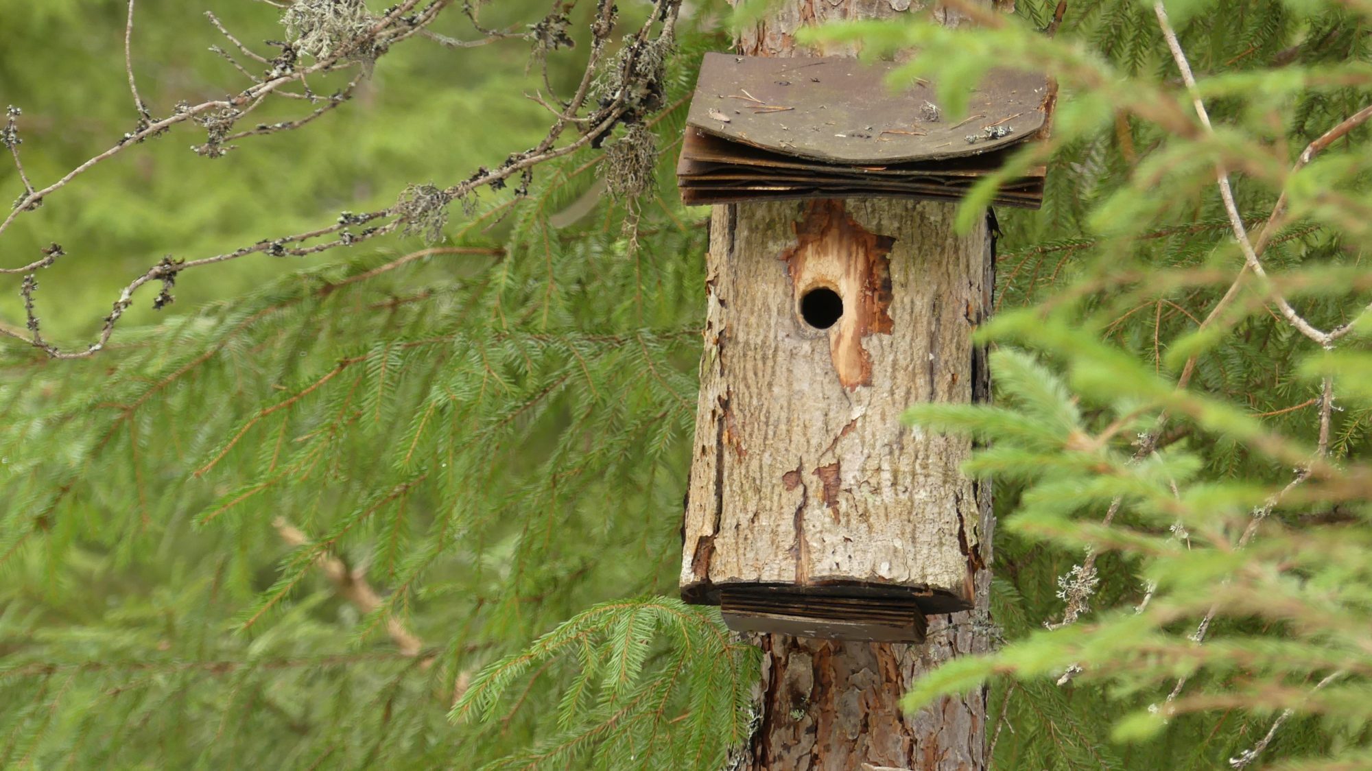 Valokuvaaja: Martti Valtonen