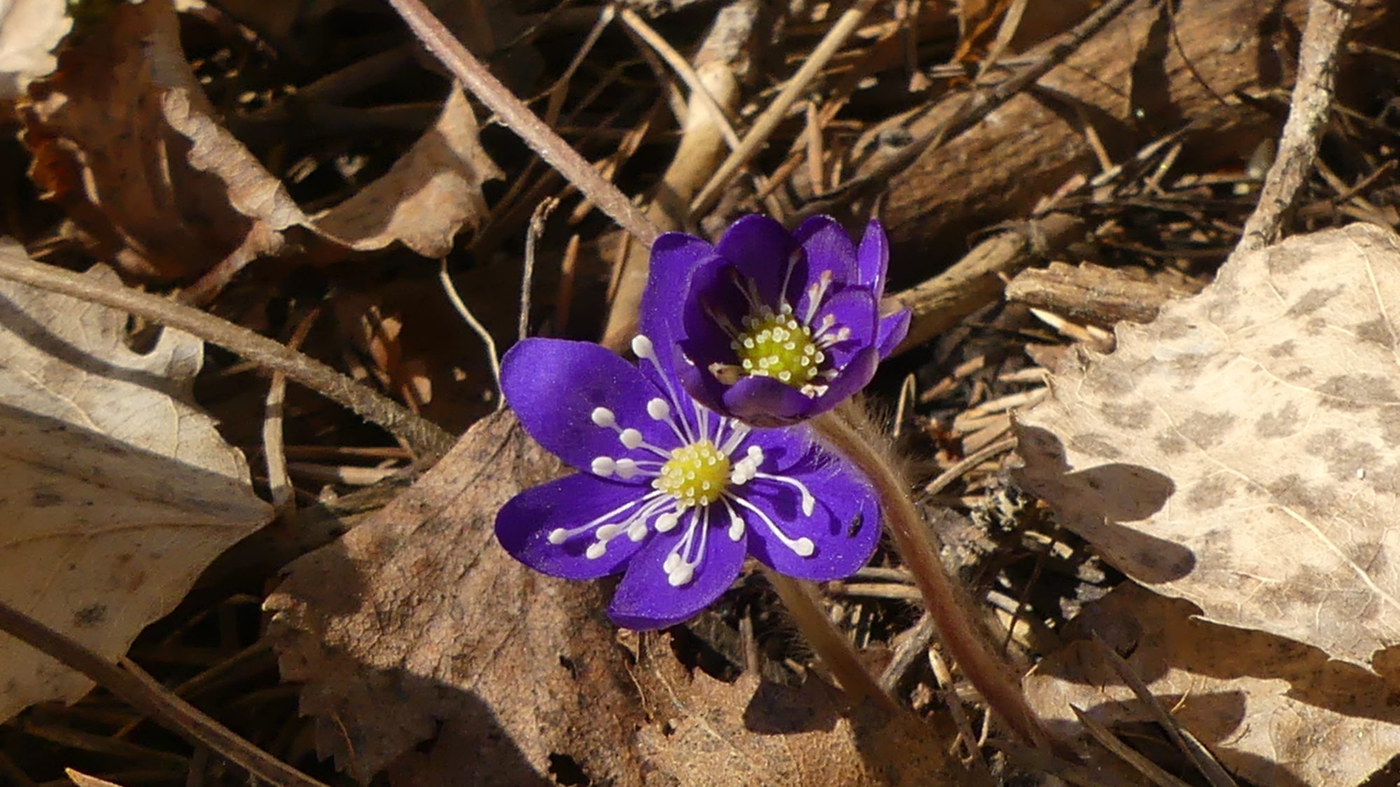 Valokuvaaja: Martti Valtonen