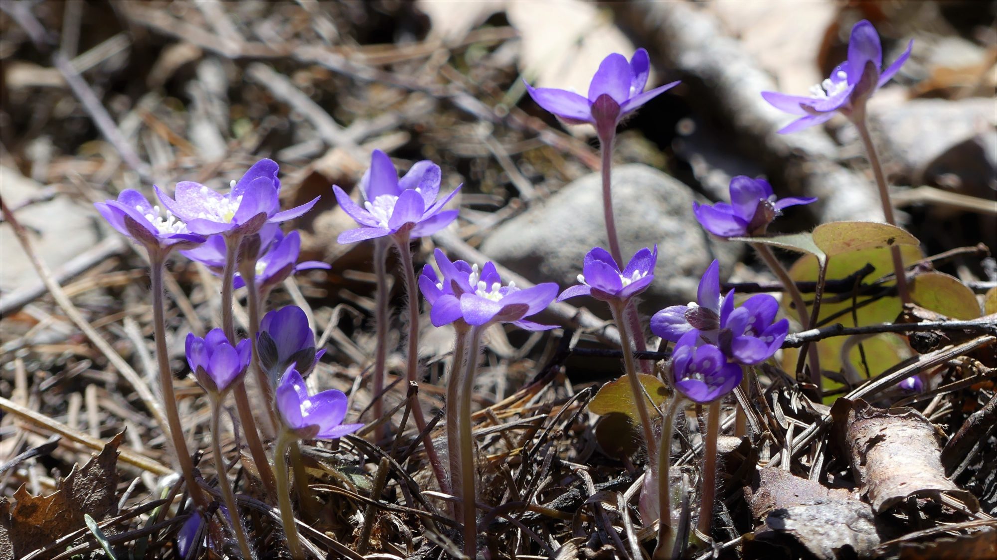 Valokuvaaja: Martti Valtonen