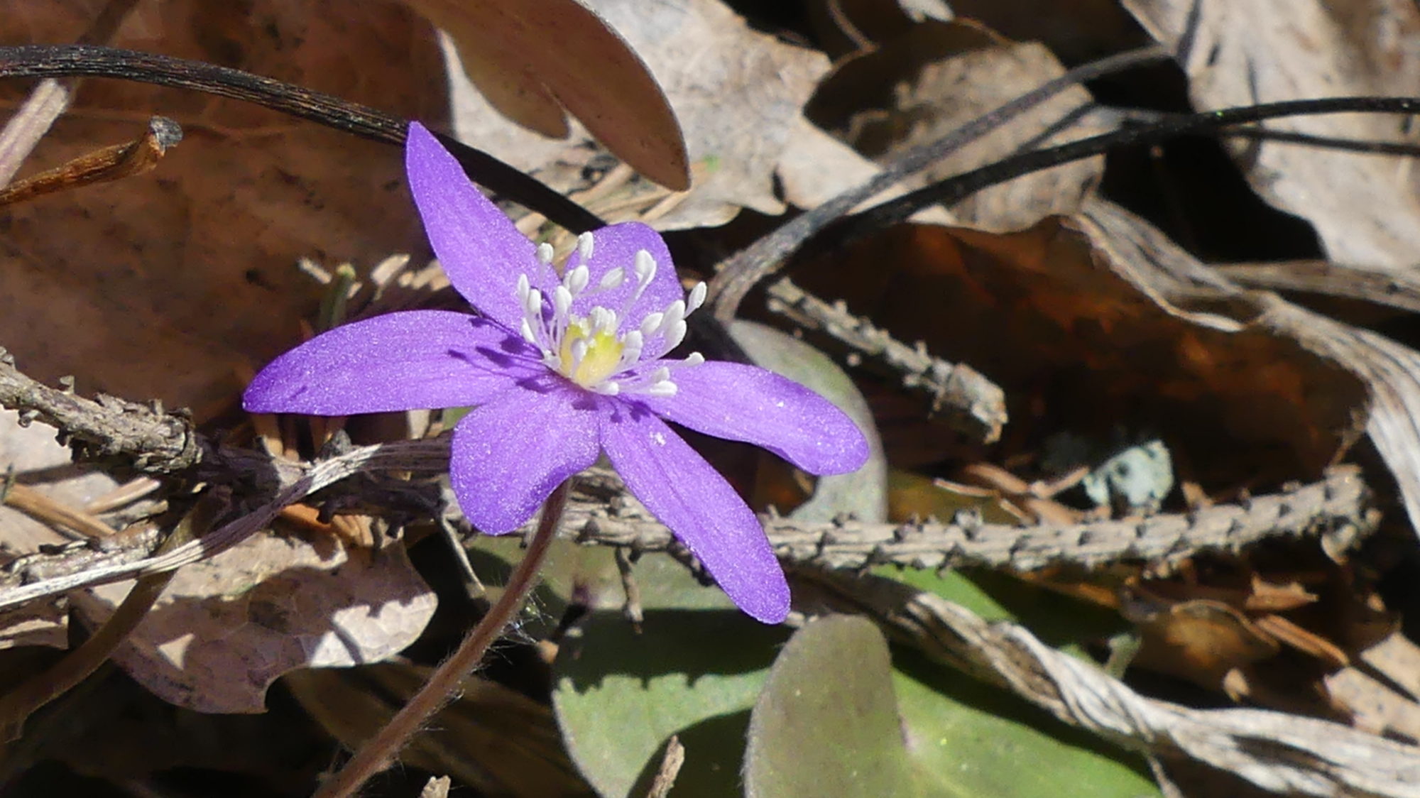 Valokuvaaja: Martti Valtonen