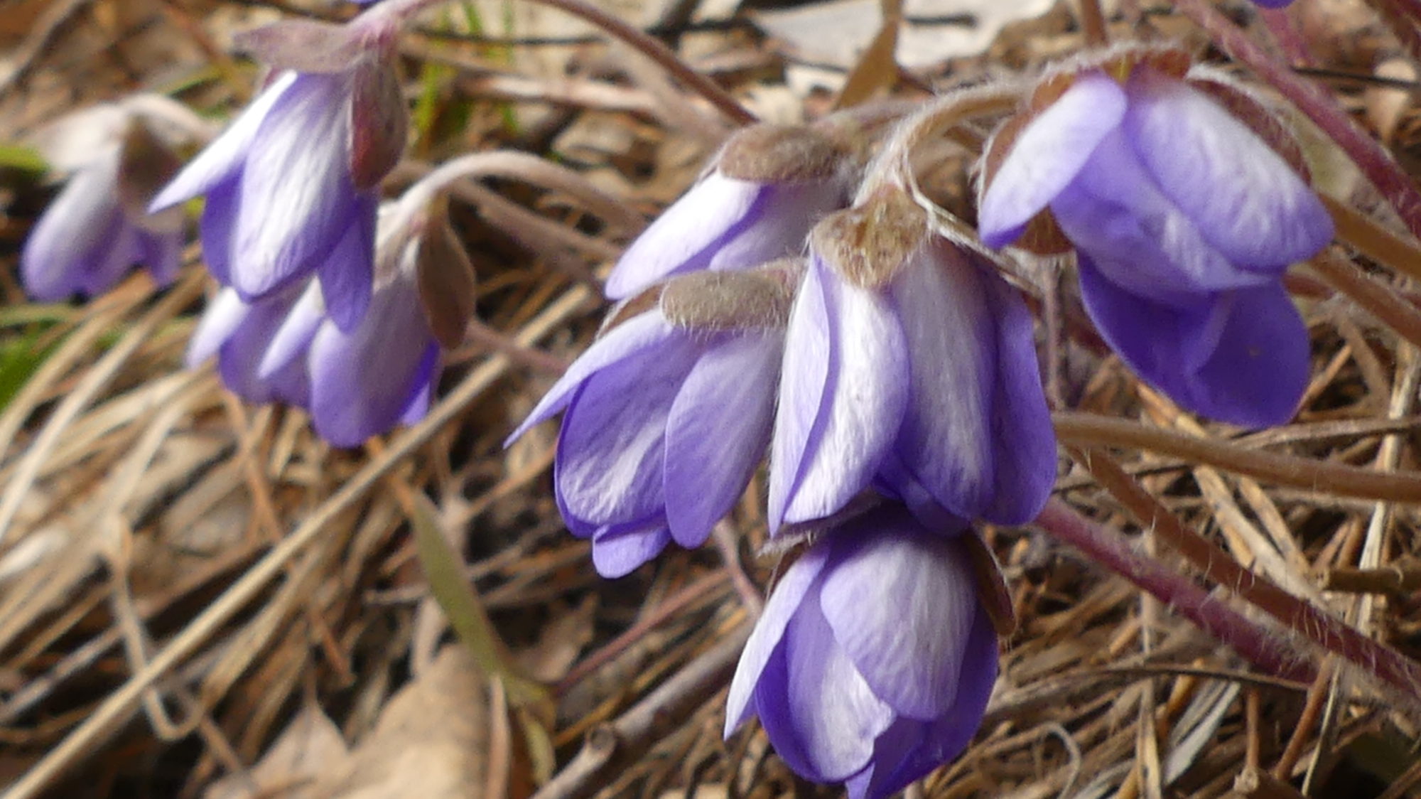 Valokuvaaja: Martti Valtonen