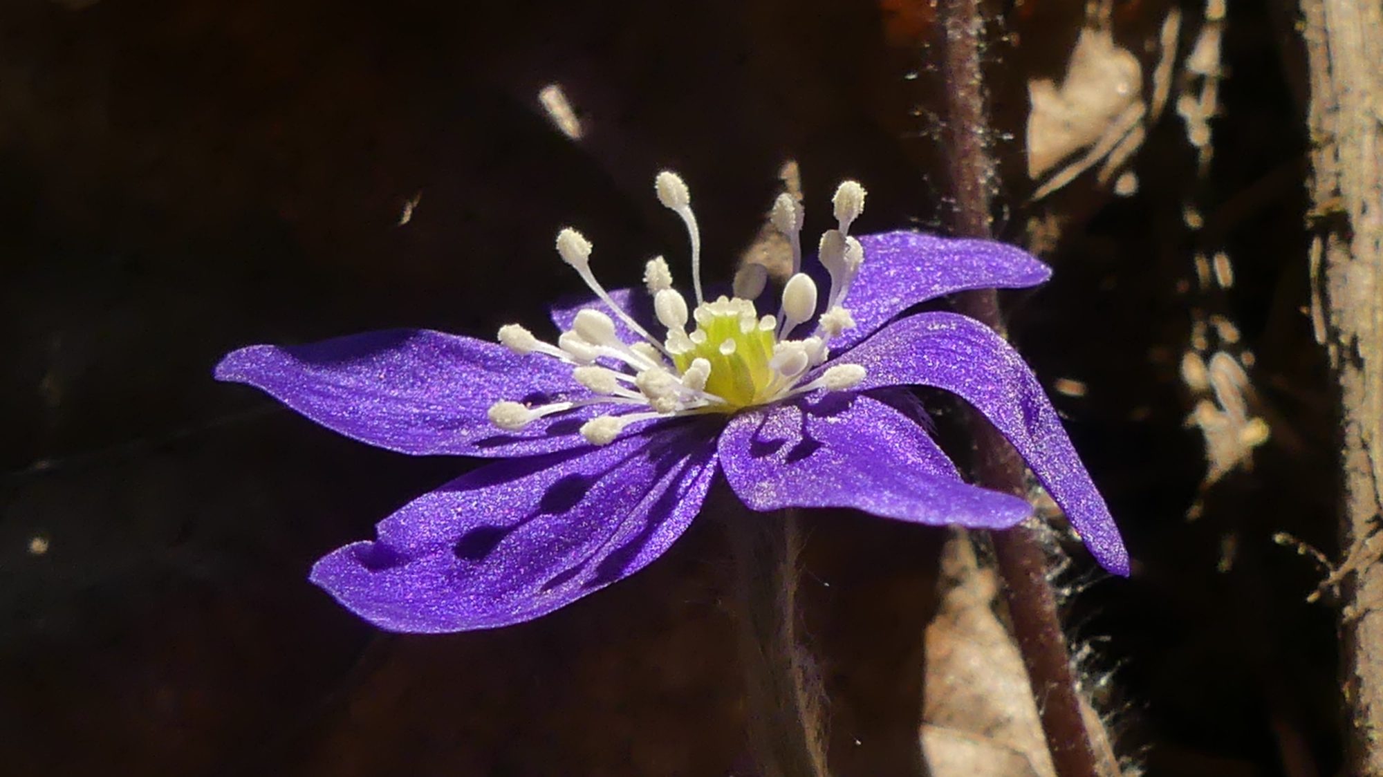 Valokuvaaja: Martti Valtonen Valokuvaaja: Martti Valtonen