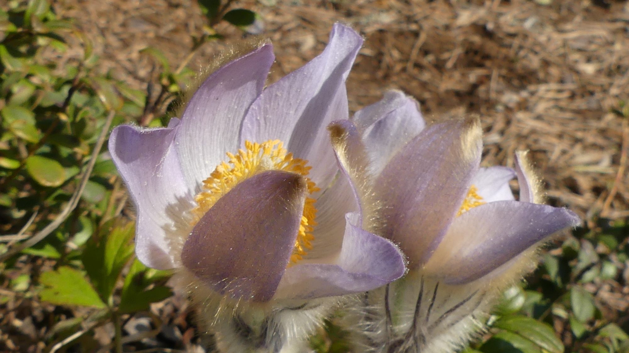 Valokuvaaja: Martti Valtonen