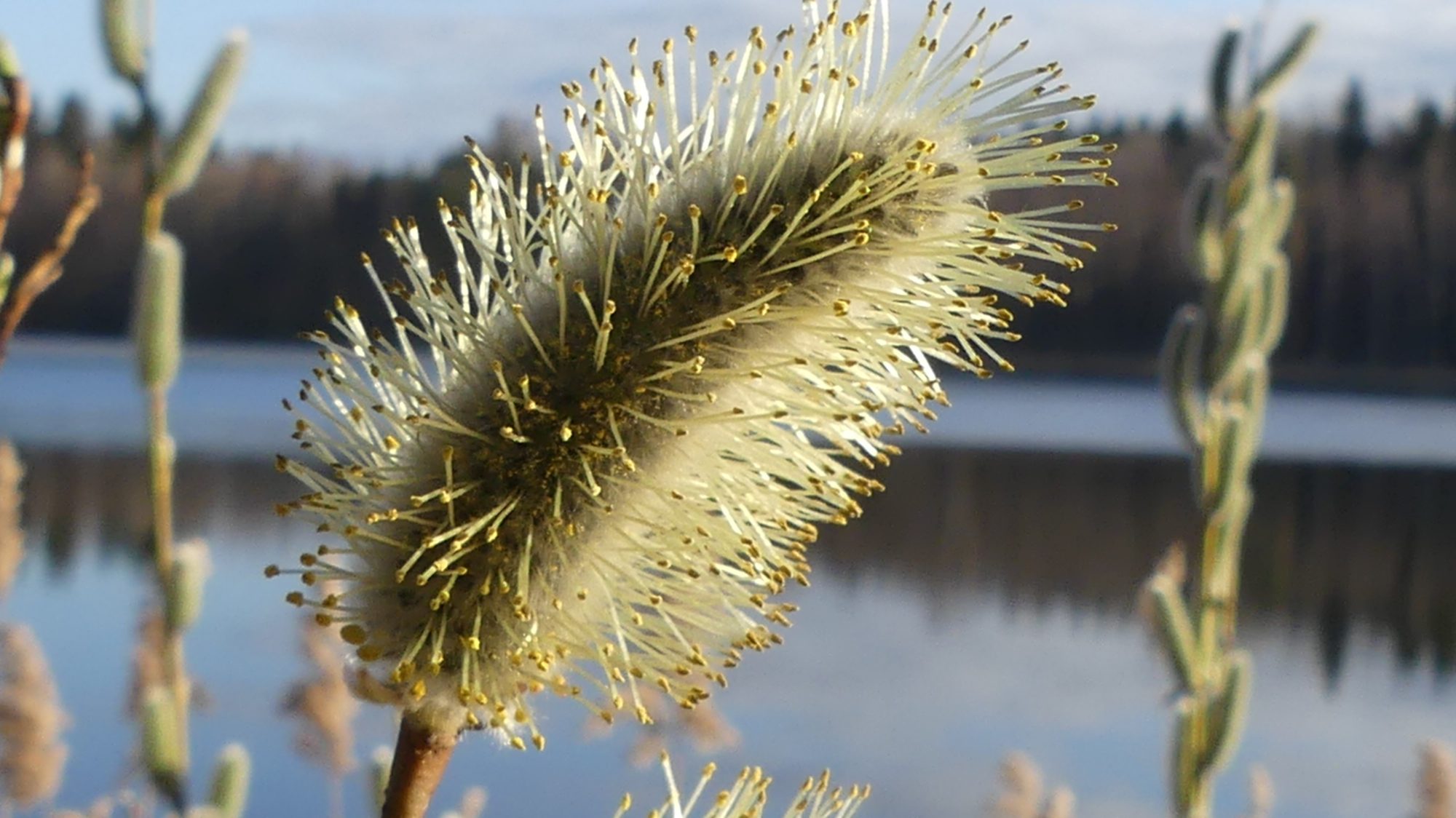 Valokuvaaja: Martti Valtonen