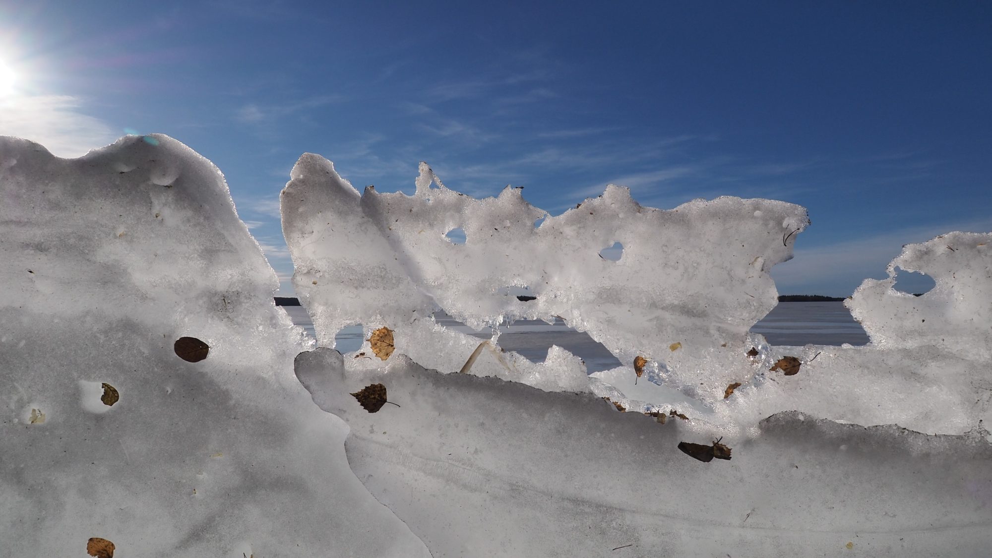 Valokuvaaja: Arja Valtonen