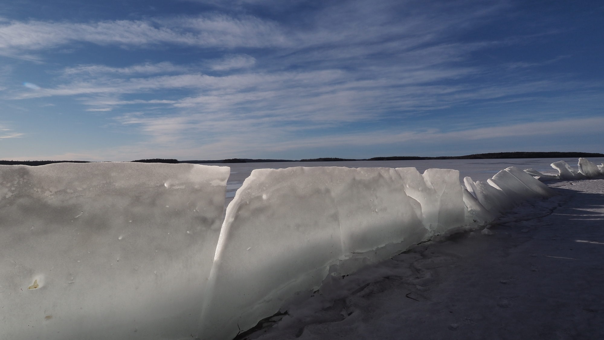 Valokuvaaja: Arja Valtonen