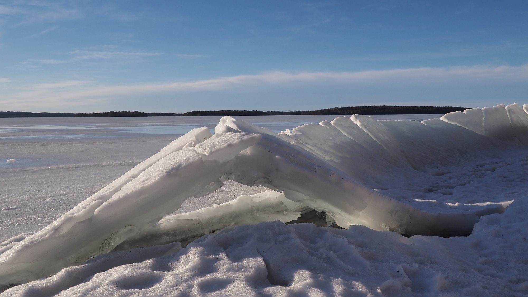 Valokuvaaja: Arja Valtonen