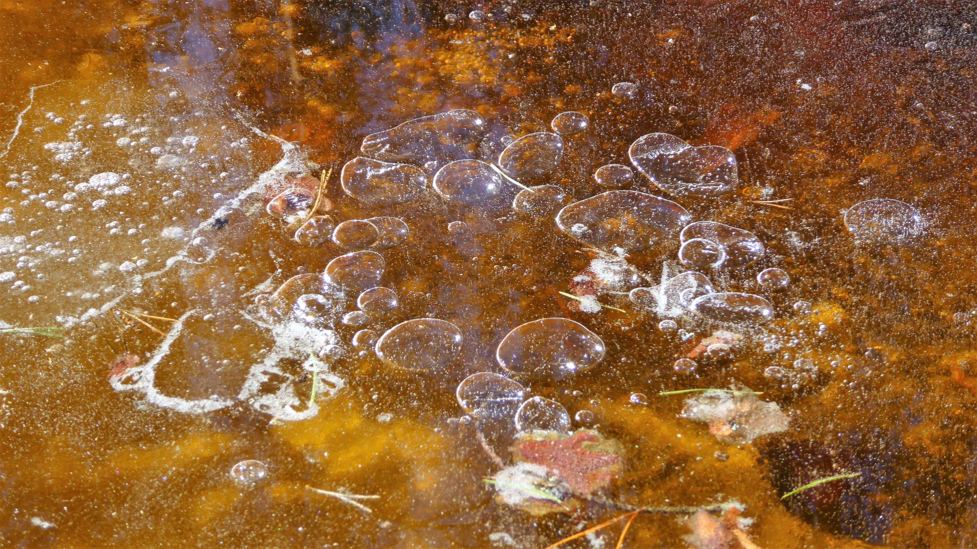 Valokuvaaja: Arja Valtonen