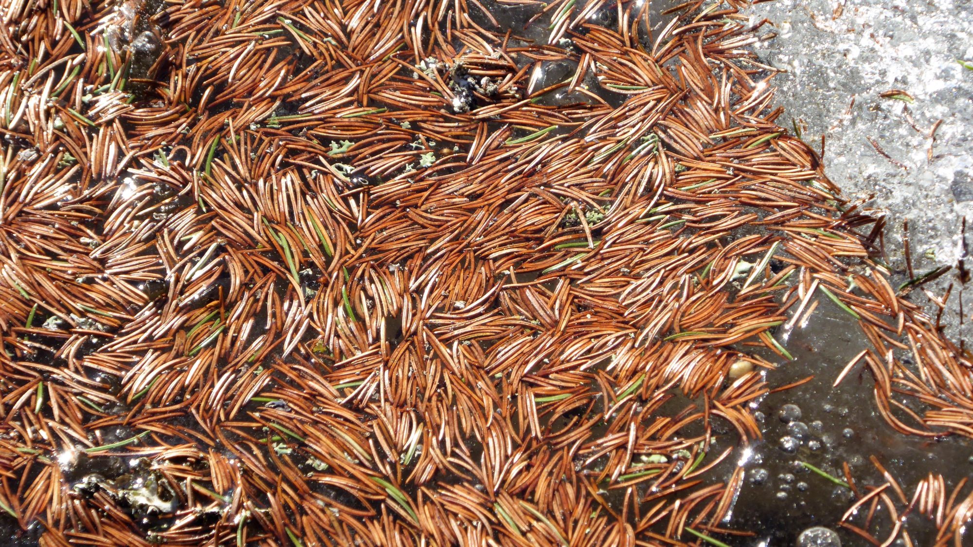 Valokuvaaja: Arja Valtonen Valokuvaaja: Arja Valtonen