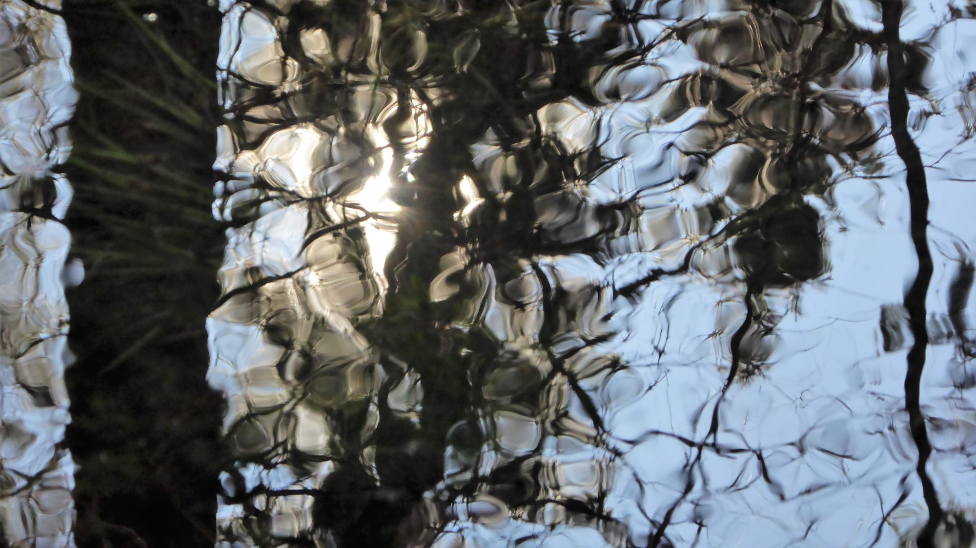 Valokuvaaja: Arja Valtonen