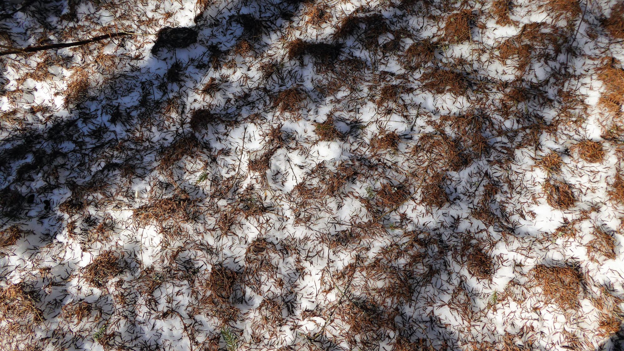 Valokuvaaja: Arja Valtonen