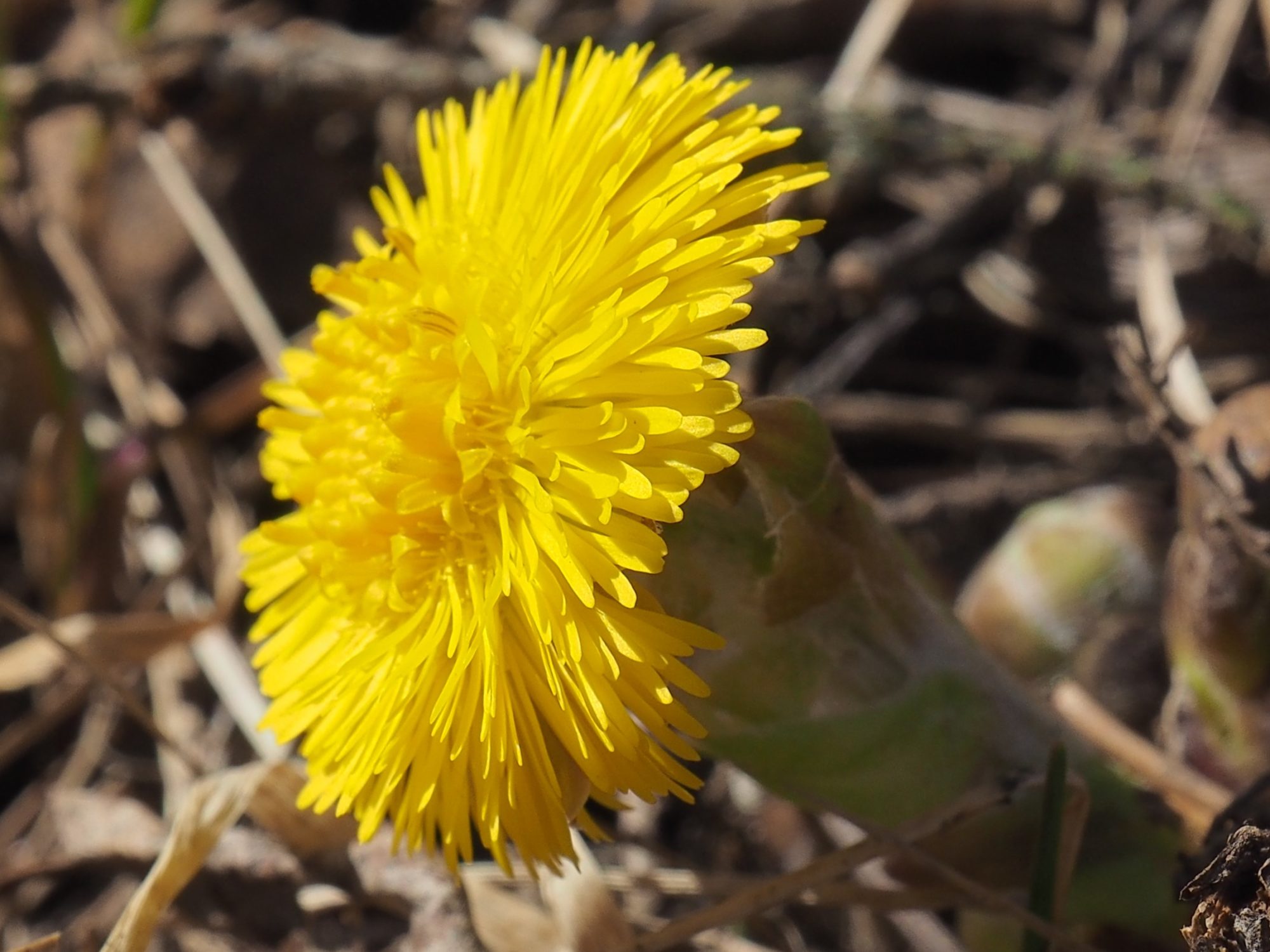 Valokuvaaja: Arja Valtonen
