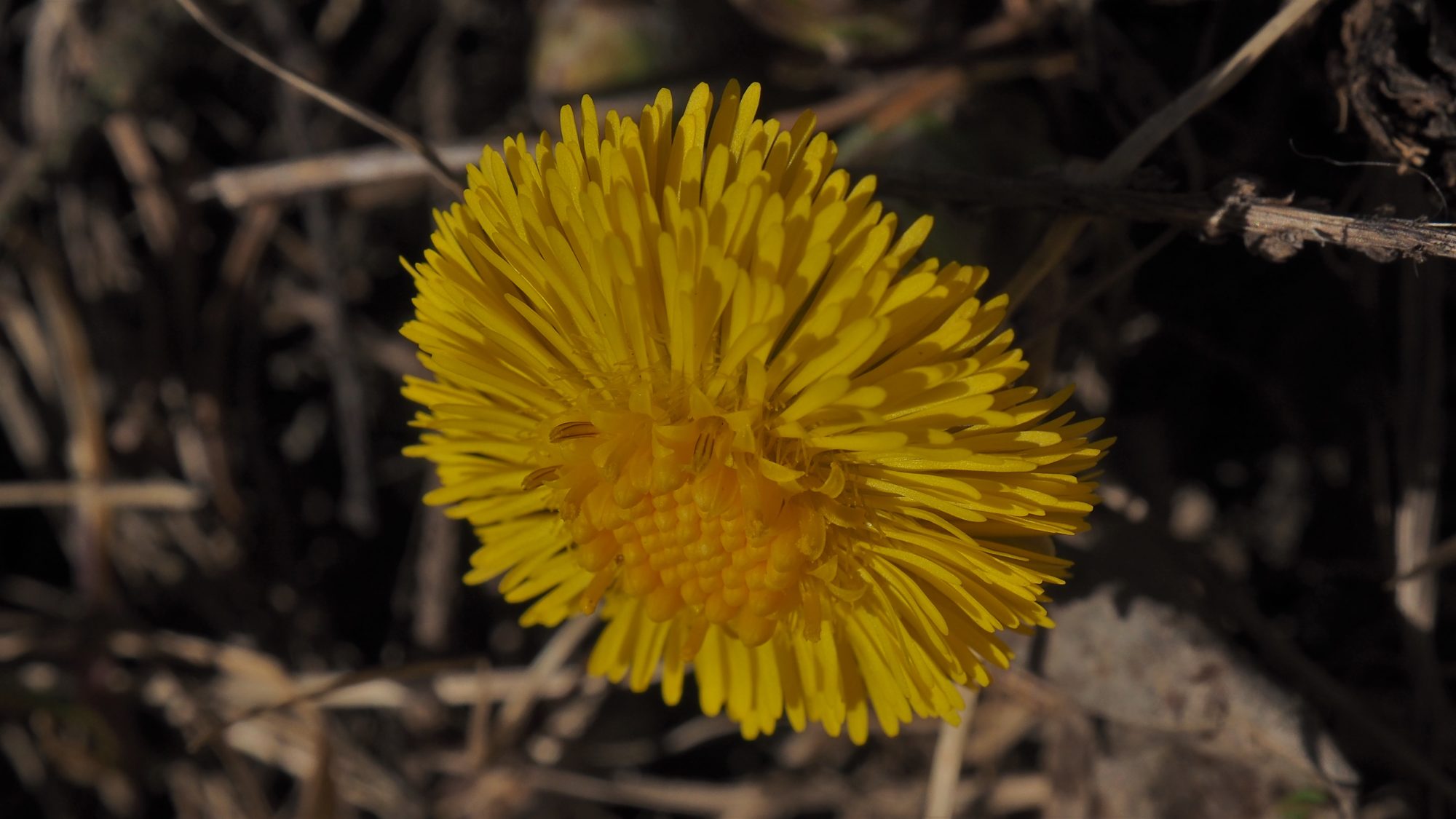 Valokuvaaja: Arja Valtonen