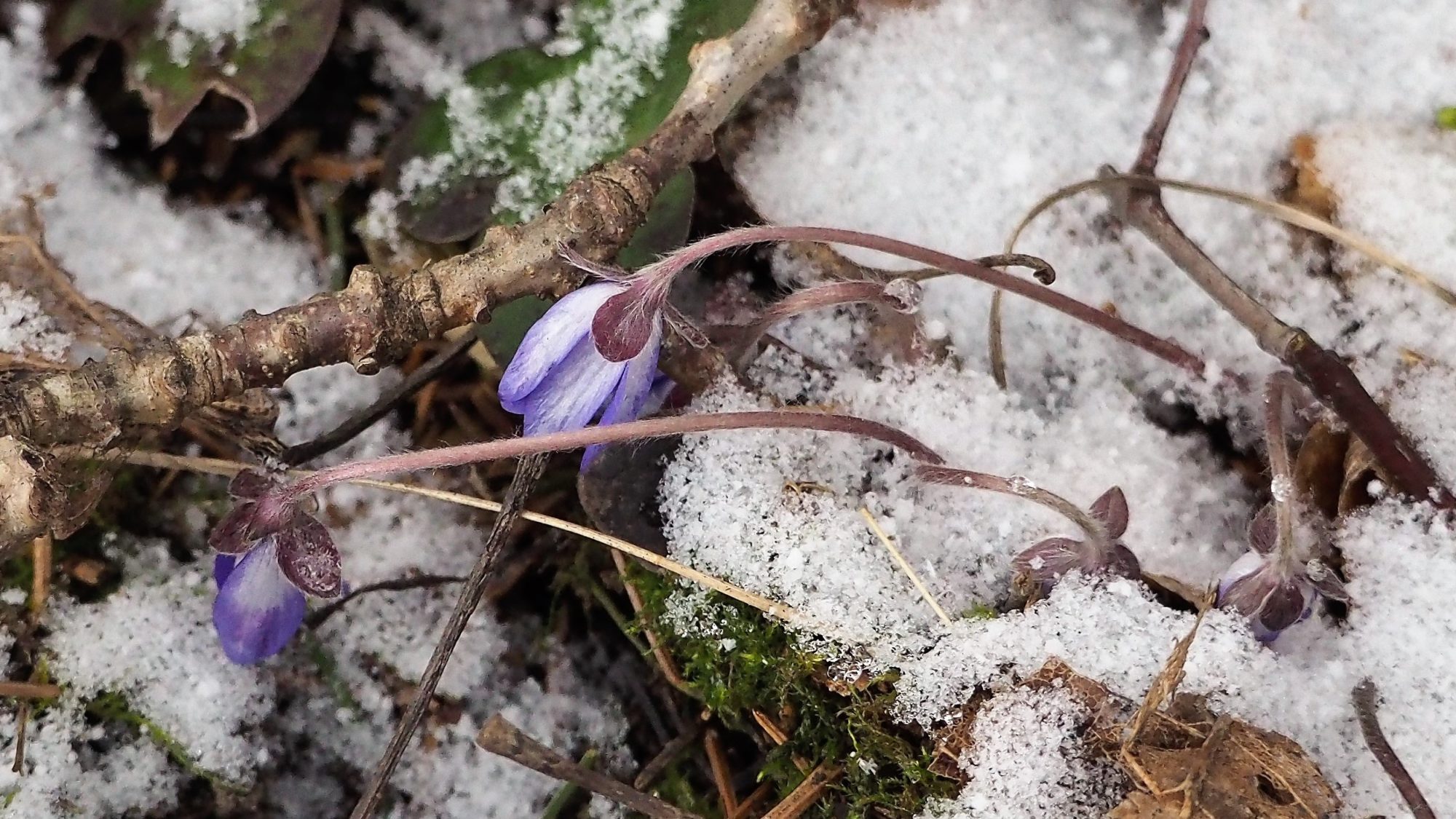 Valokuvaaja: Arja Valtonen