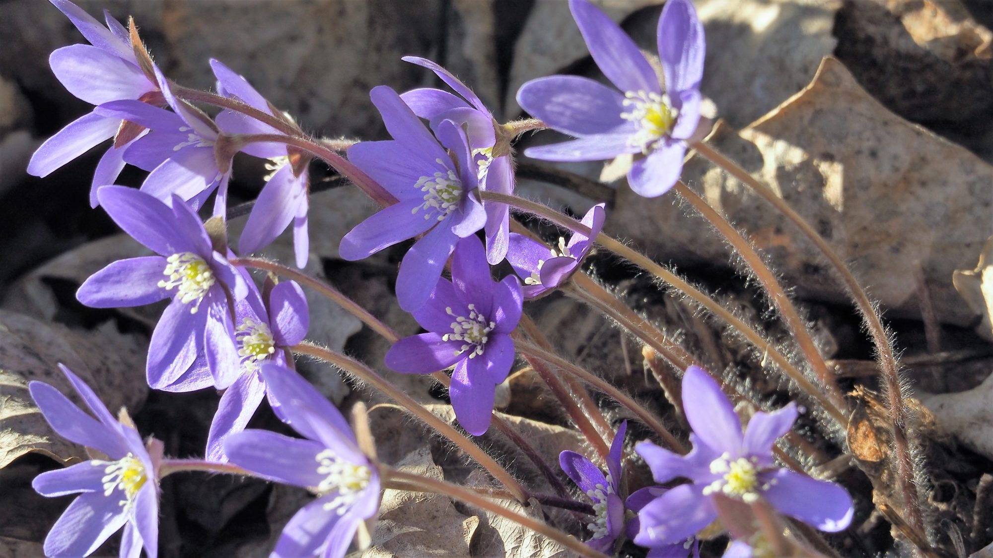 Valokuvaaja: Arja Valtonen