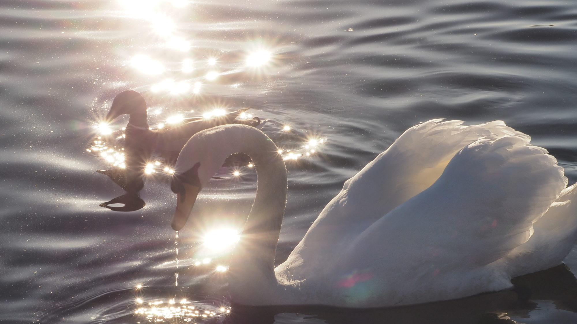 Valokuvaaja: Arja Valtonen