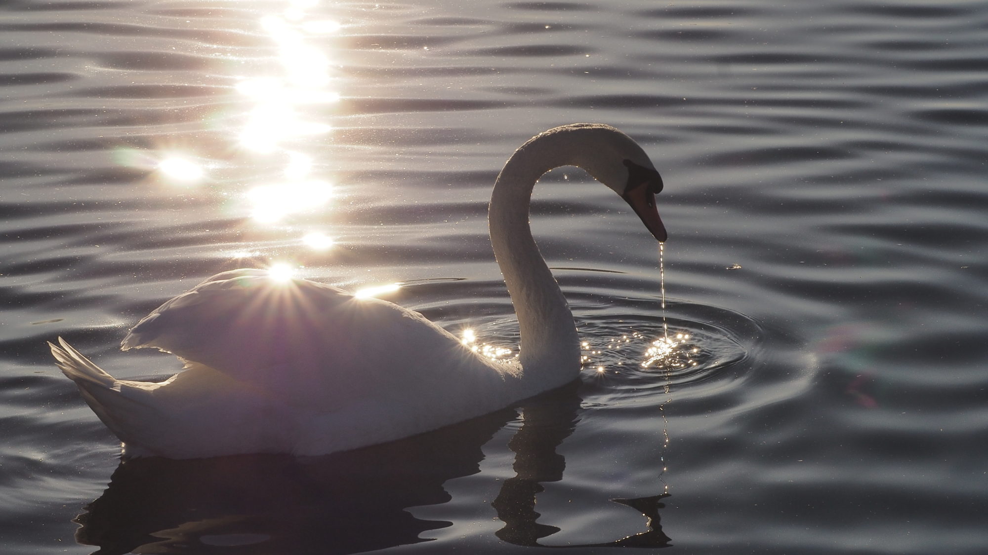 Valokuvaaja: Arja Valtonen