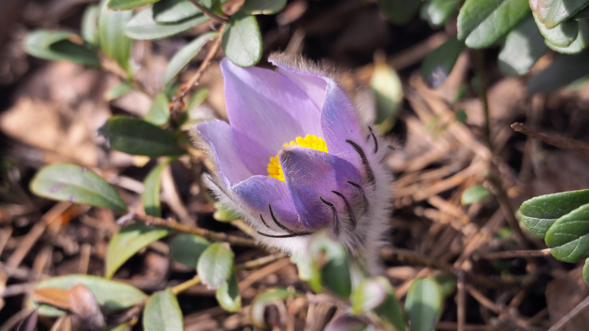 Valokuvaaja: Arja Valtonen