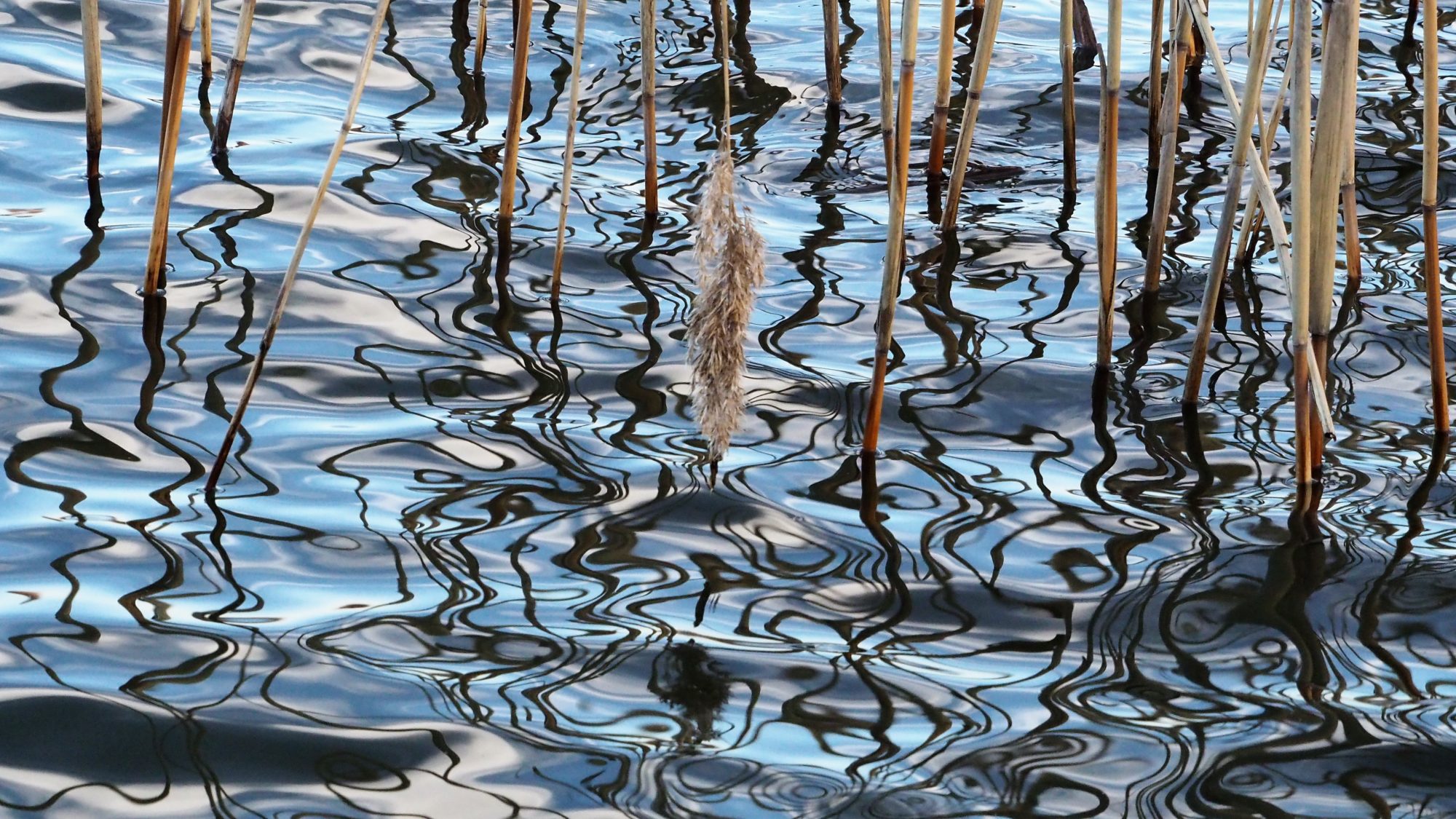 Valokuvaaja: Arja Valtonen