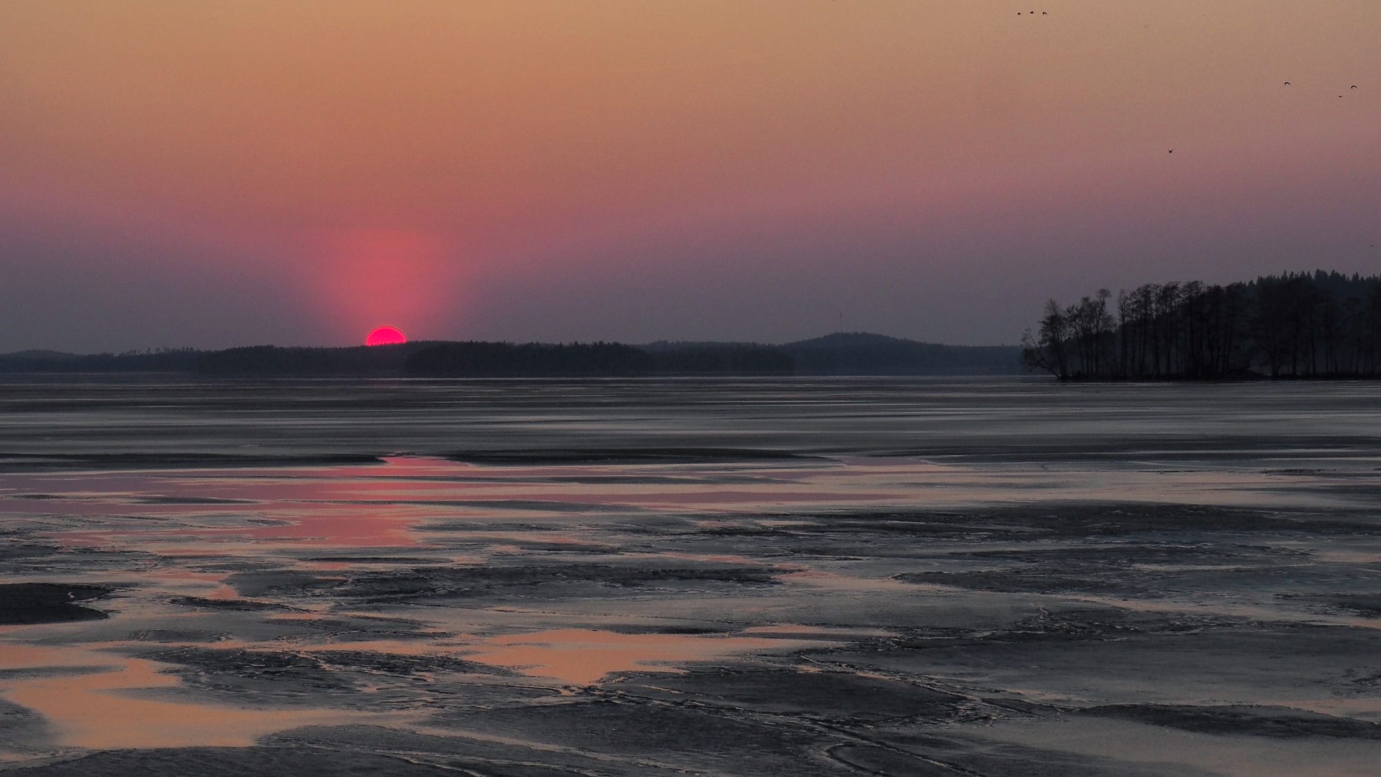 Valokuvaaja: Arja Valtonen Valokuvaaja: Arja Valtonen