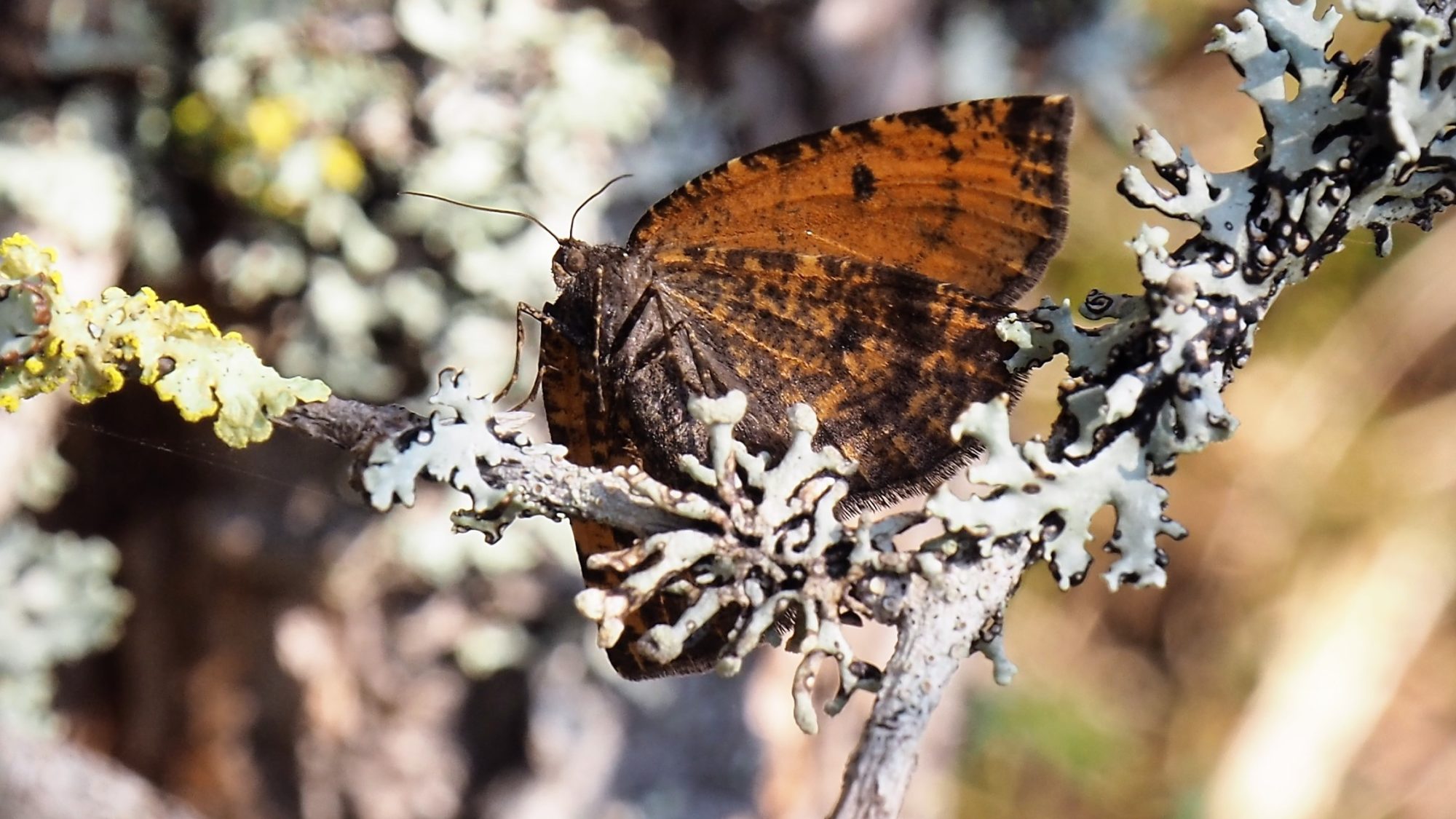Valokuvaaja: Martti Valtonen