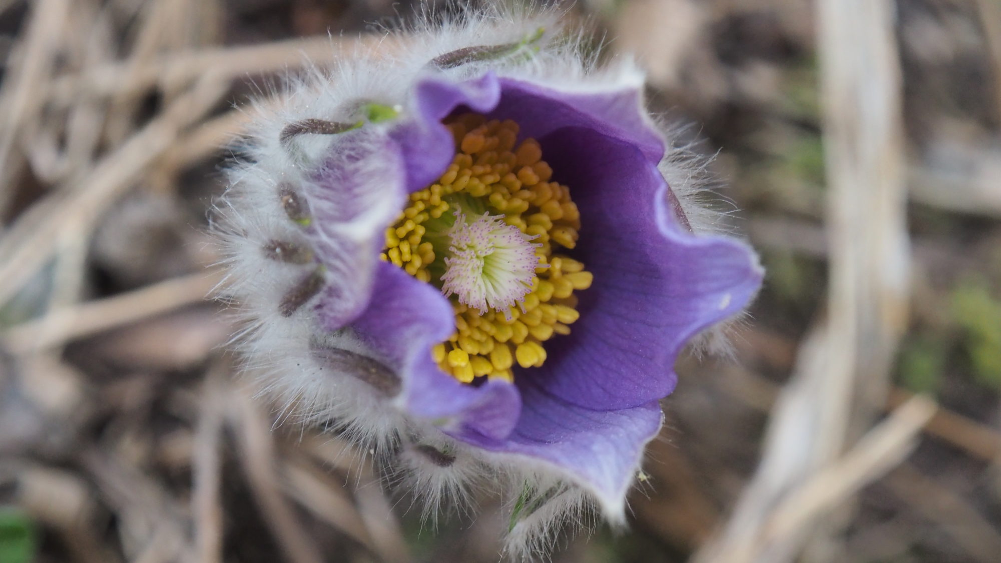 Valokuvaaja: Arja Valtonen