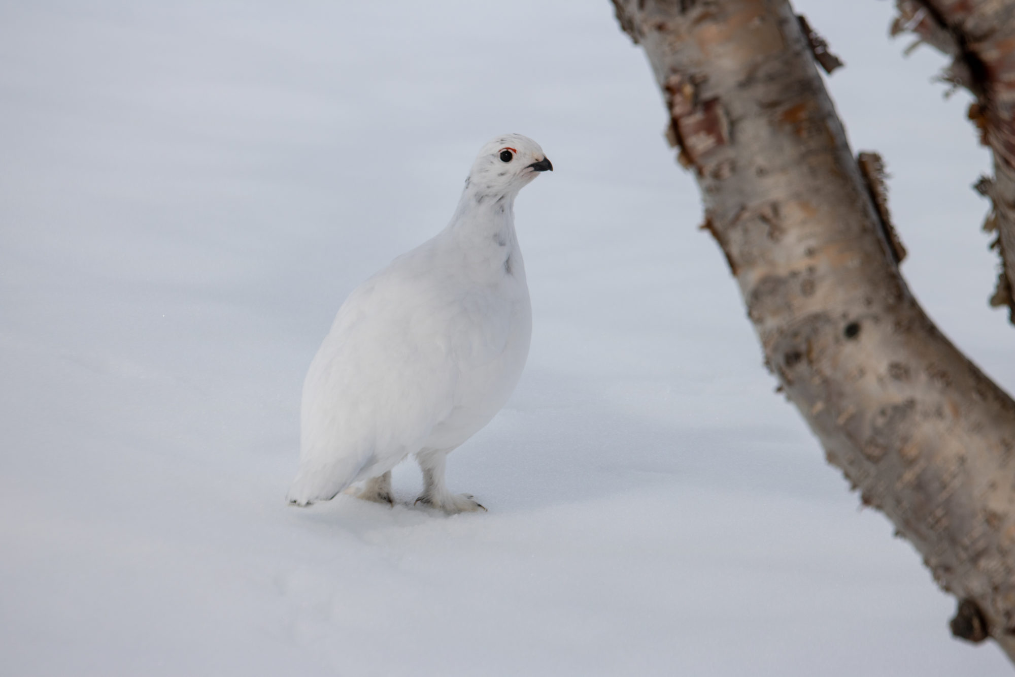 Valokuvaaja: Katri Niskanen