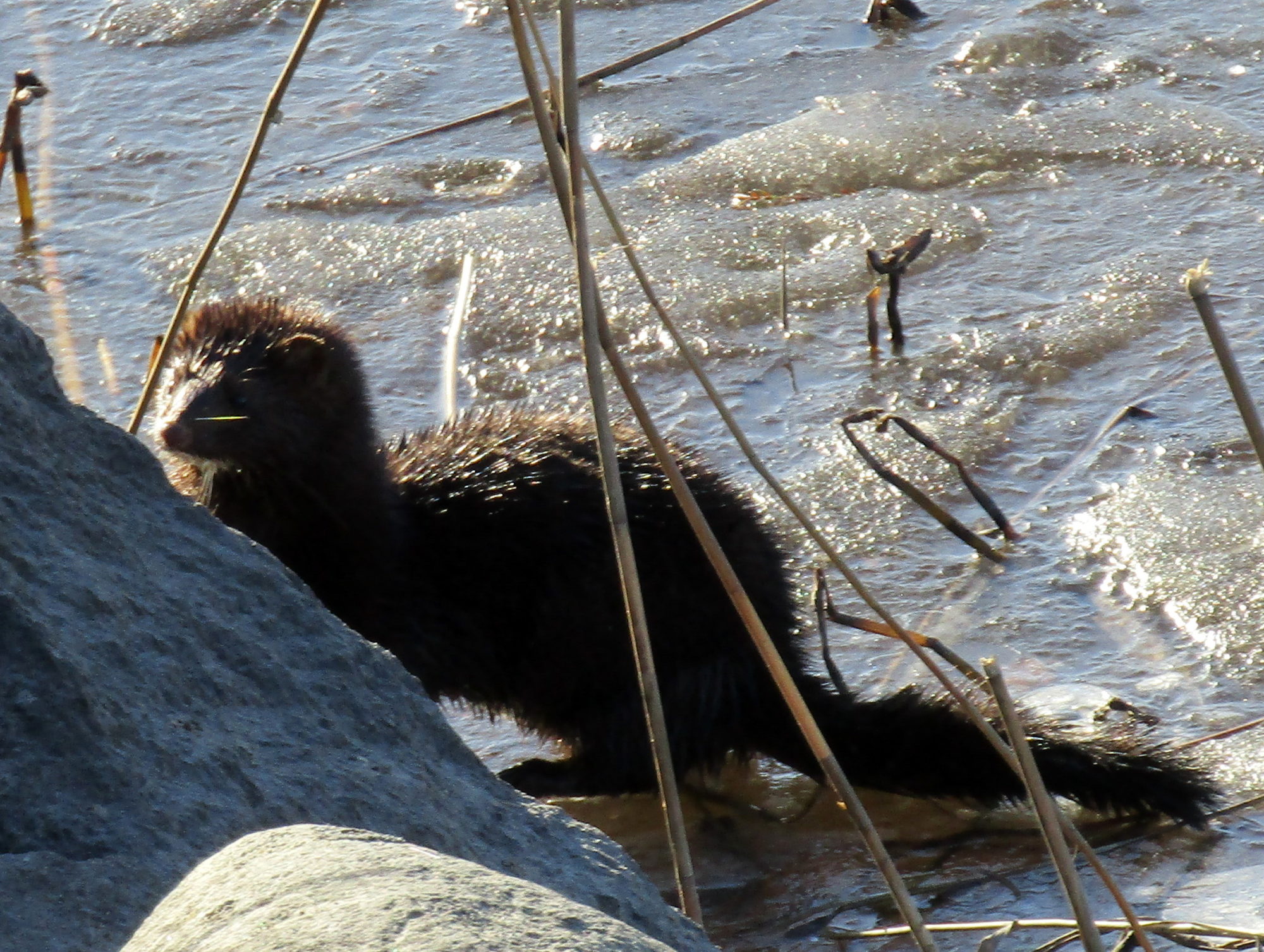 Valokuvaaja: Sirkka Ruotoistenmäki