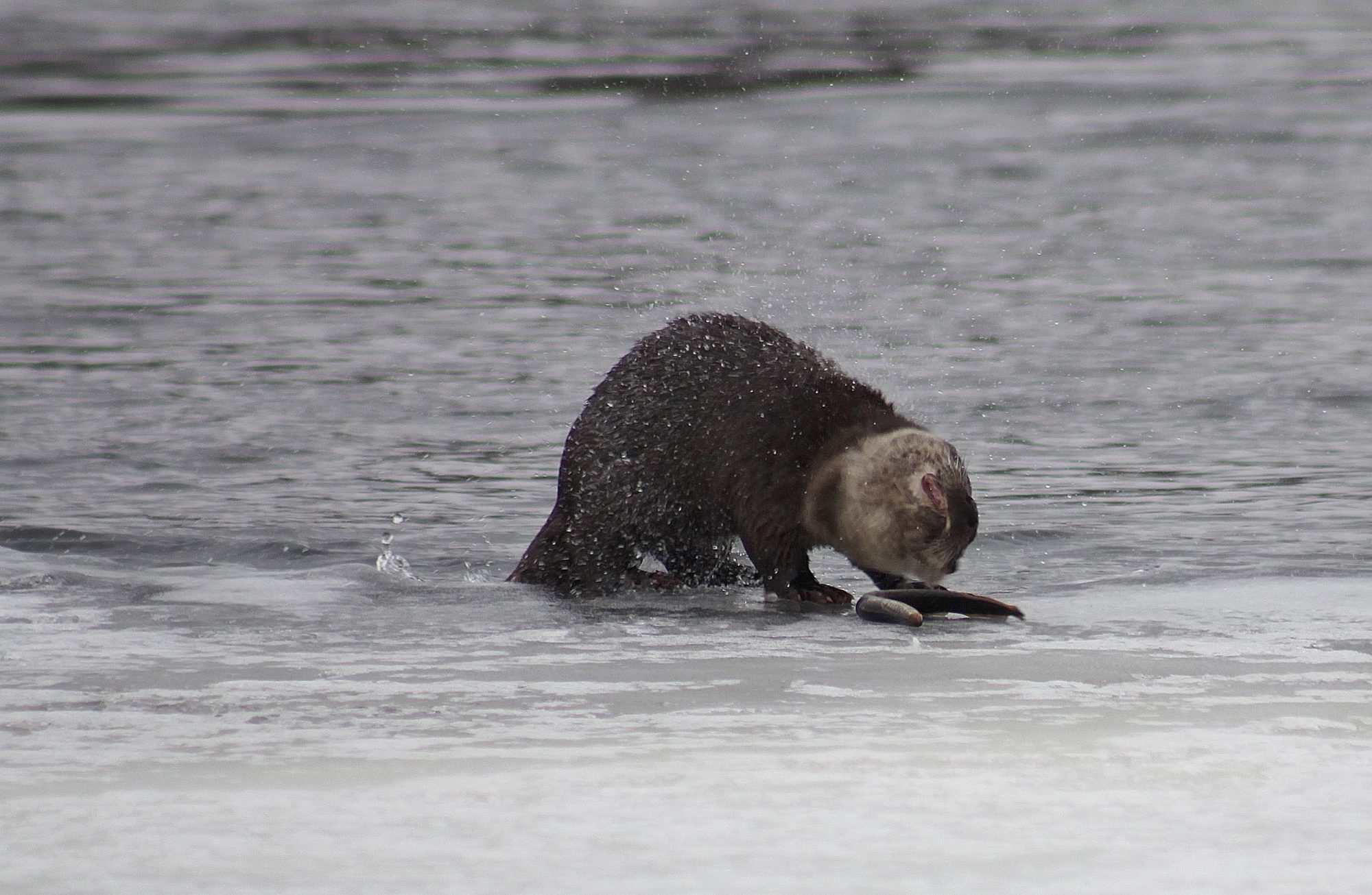 Valokuvaaja: Pirkko Siukonen