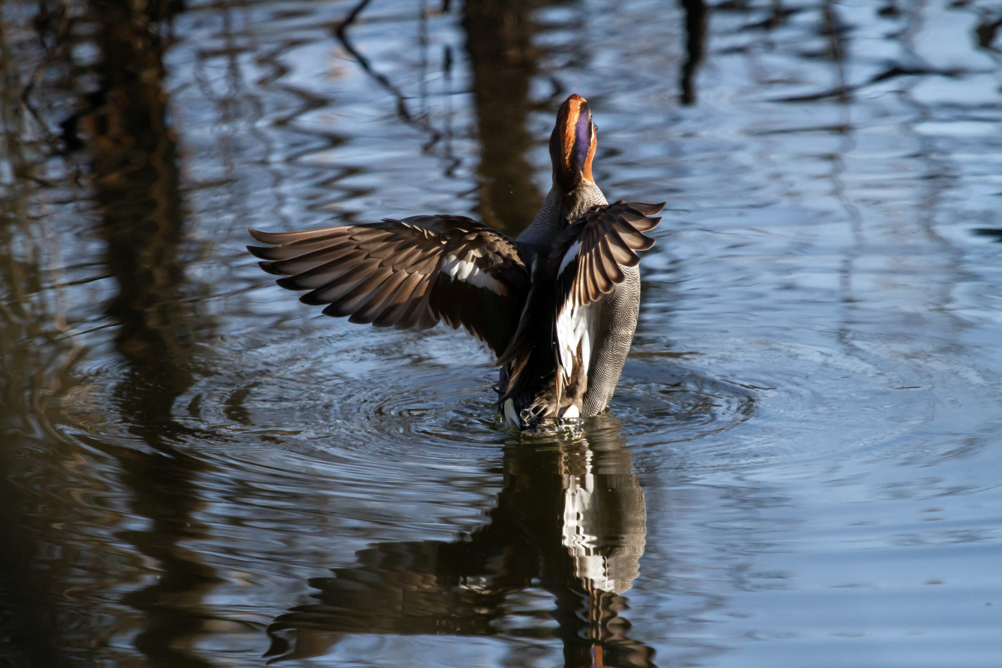 Valokuvaaja: Heikki  Heinonen