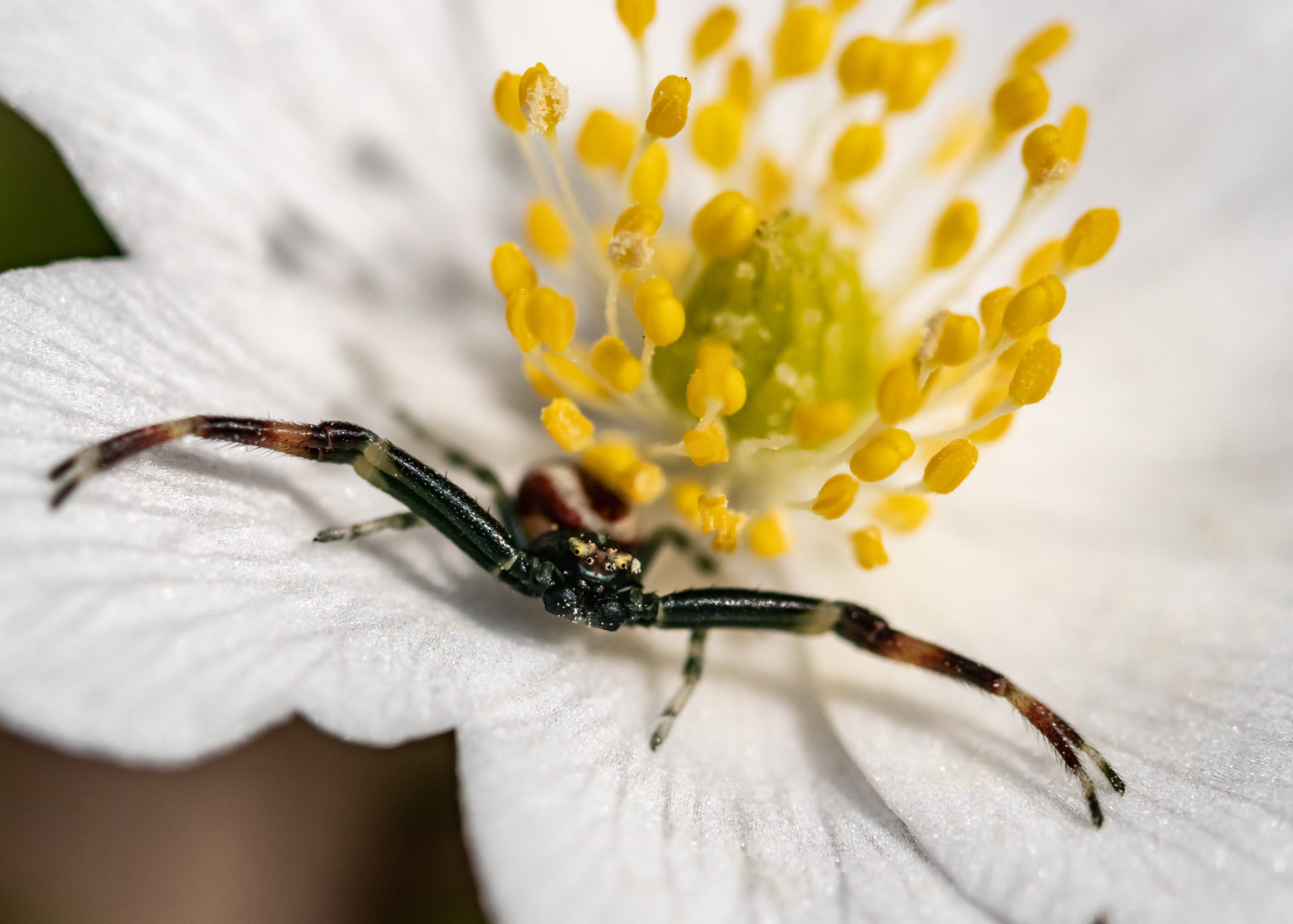 Valokuvaaja: Henna Hakojärvi