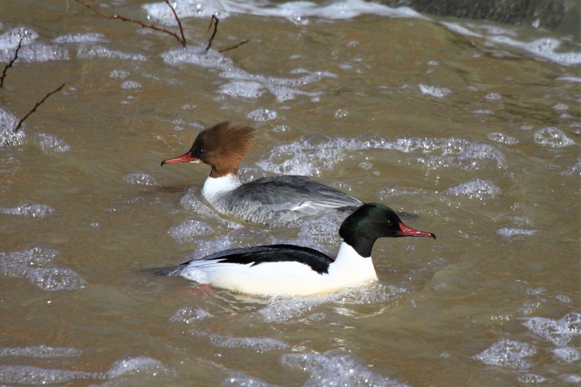 Valokuvaaja: Berndt Hannelius