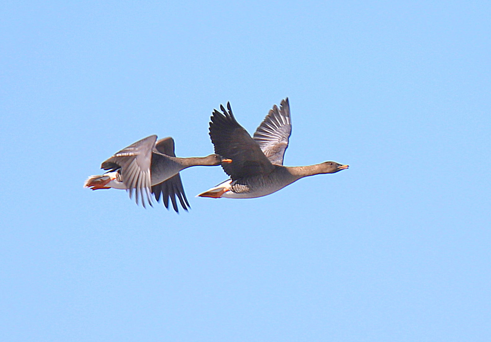 Valokuvaaja: sirpa jyske