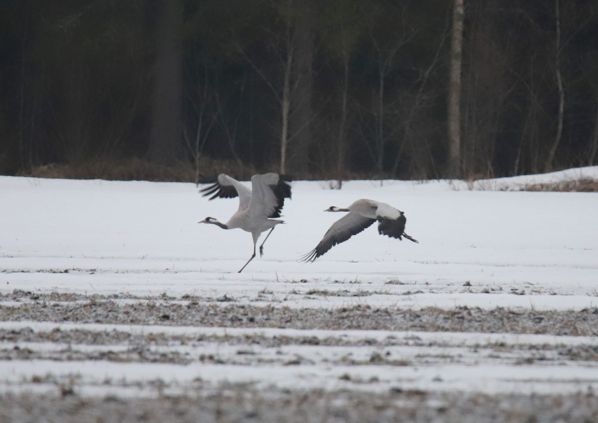 Valokuvaaja: sirpa jyske