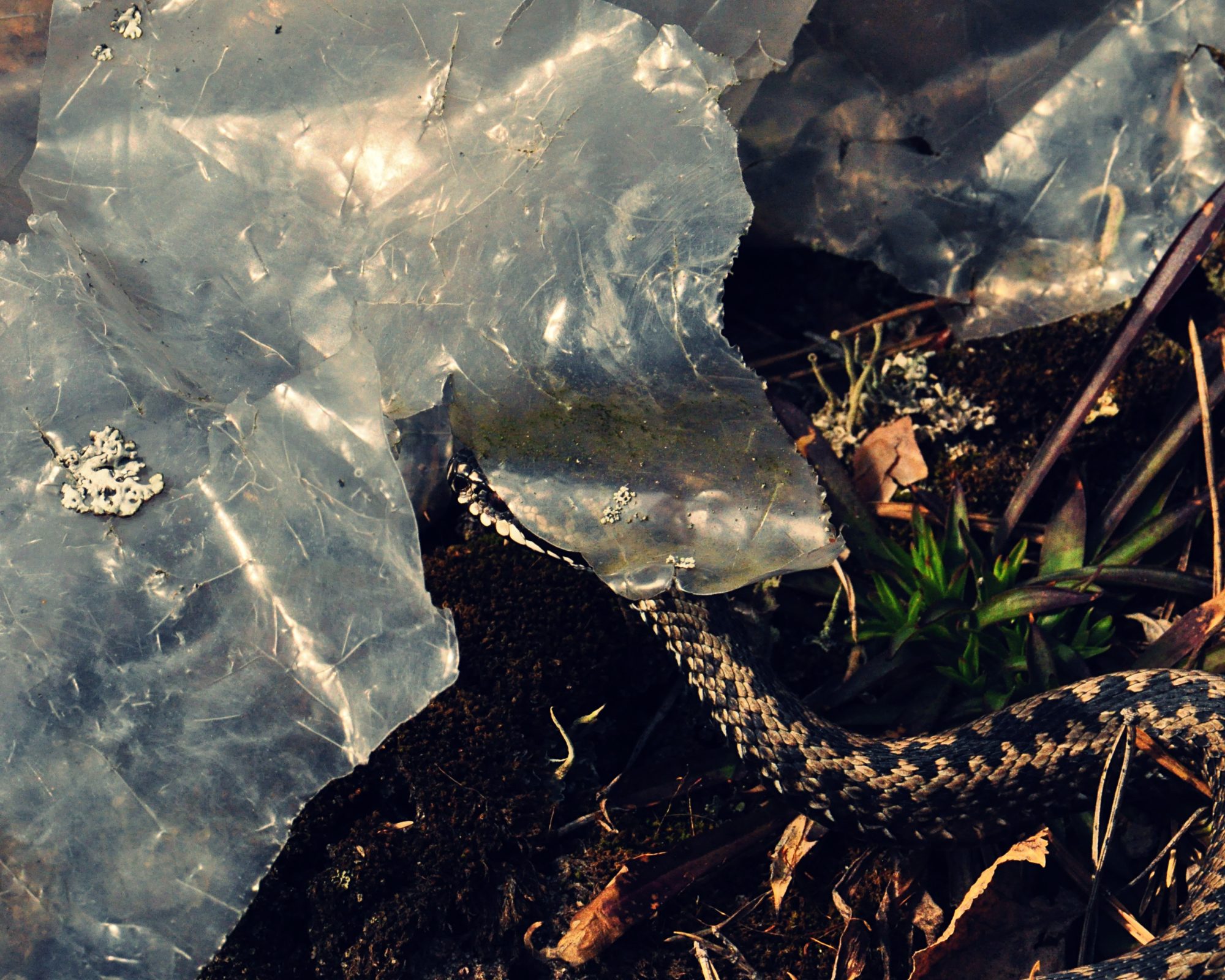 Valokuvaaja: Jenni Merilä