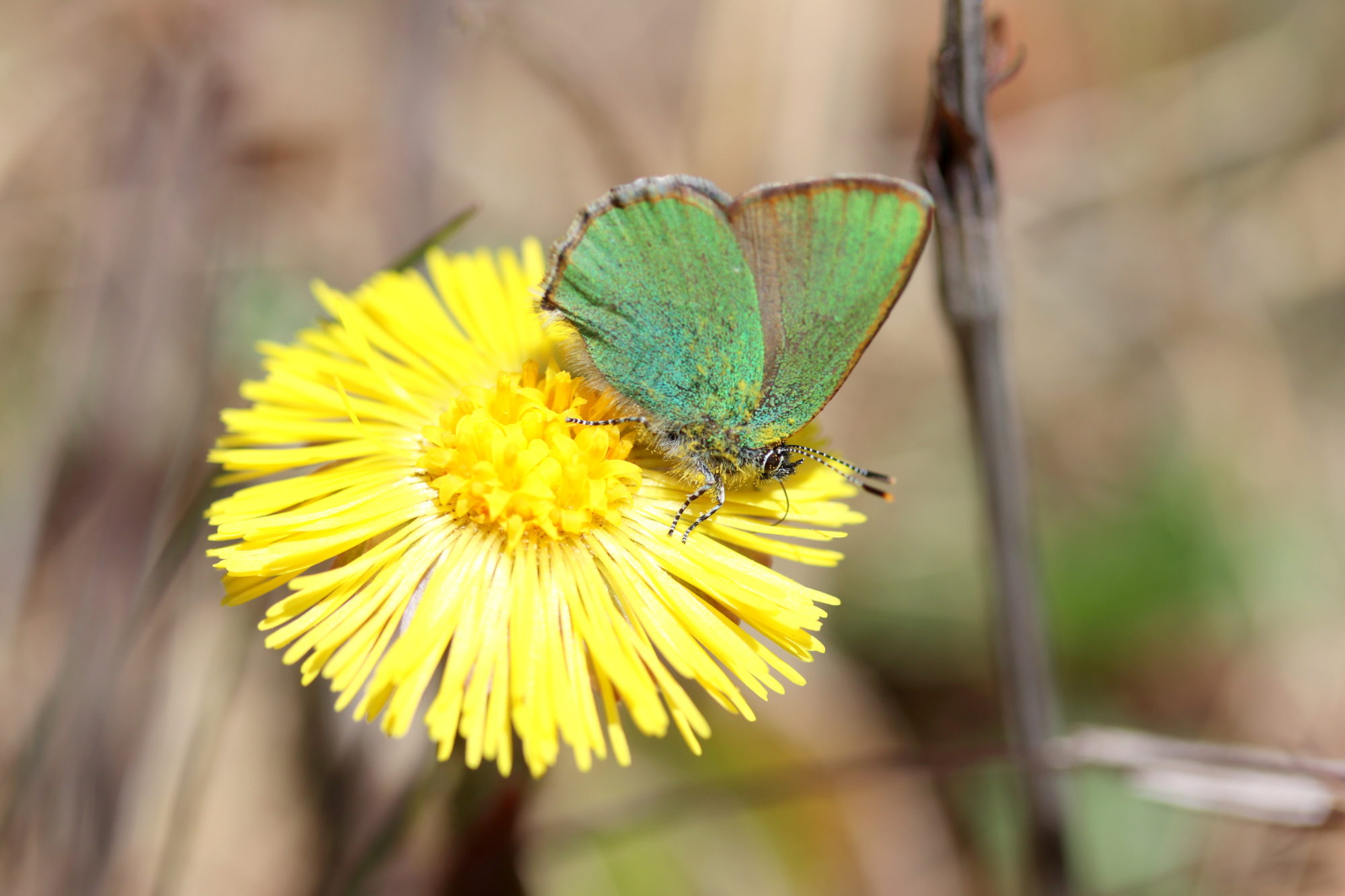Valokuvaaja: sirpa jyske
