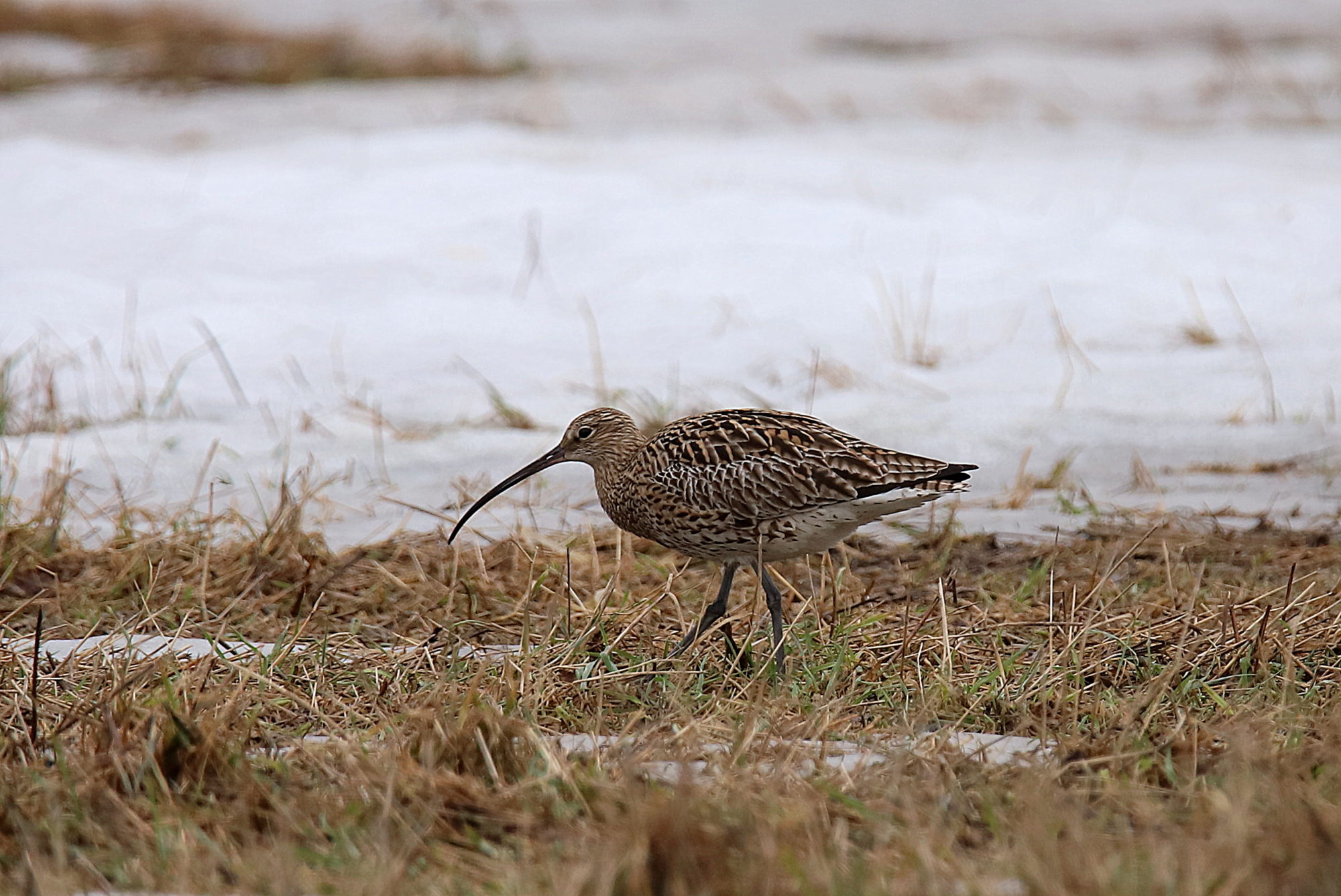 Valokuvaaja: sirpa jyske Valokuvaaja: sirpa jyske