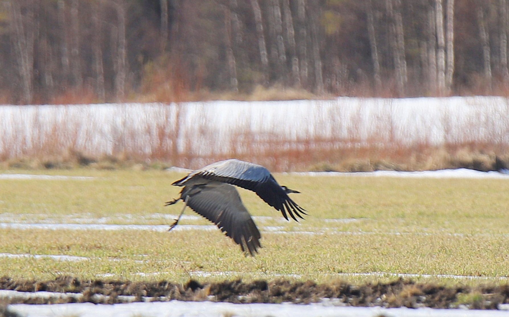 Valokuvaaja: sirpa jyske