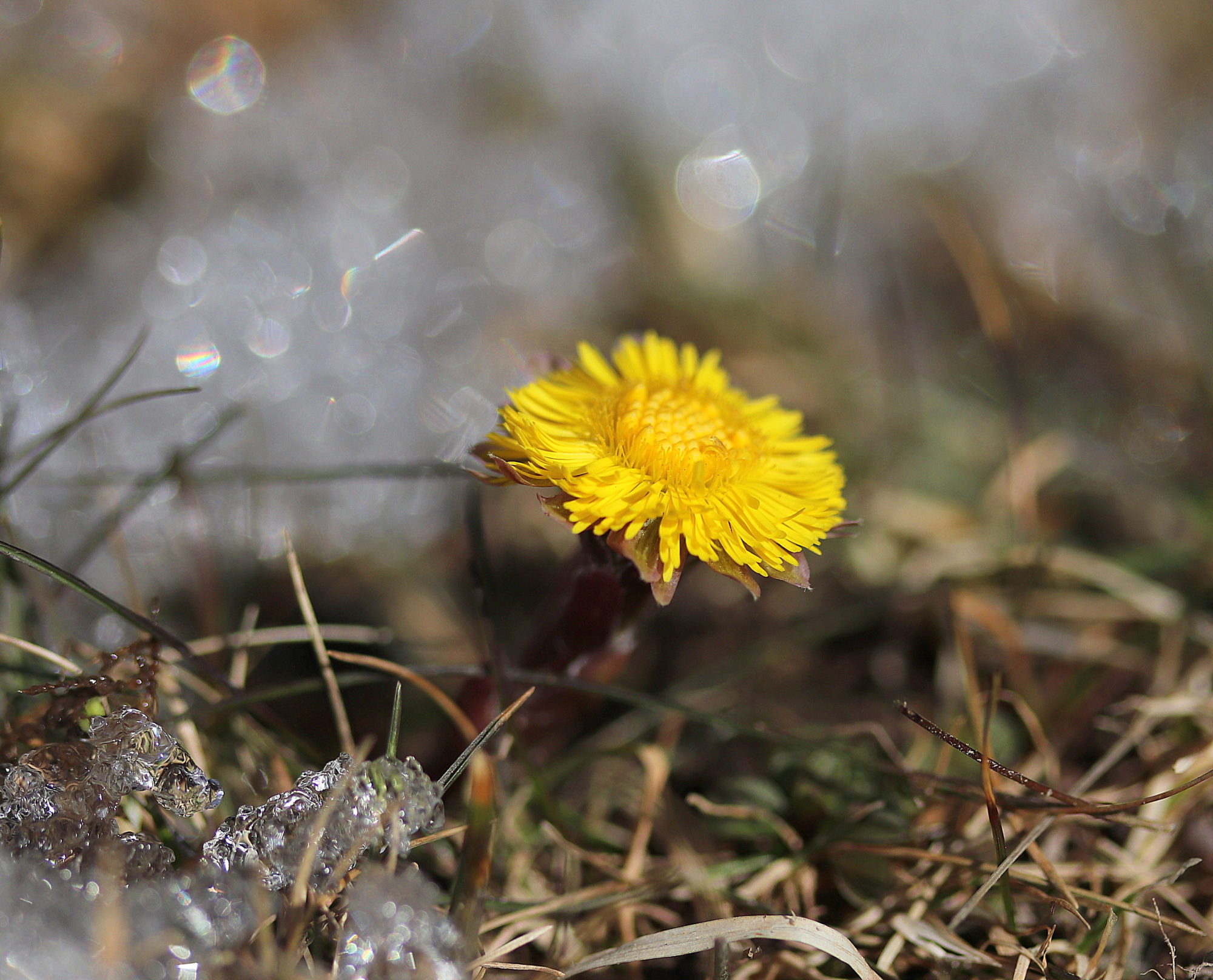 Valokuvaaja: sirpa jyske