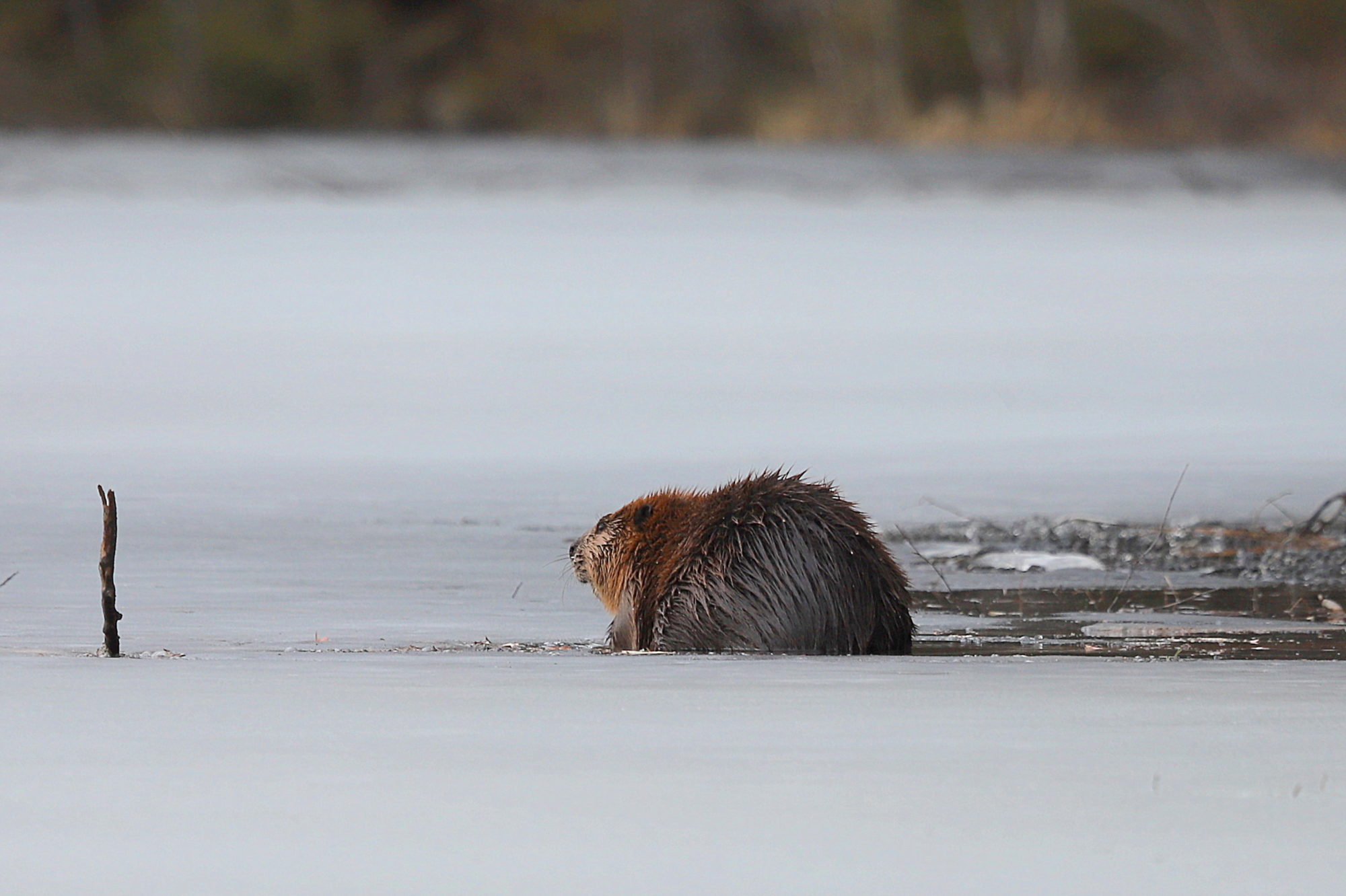 Valokuvaaja: sirpa jyske
