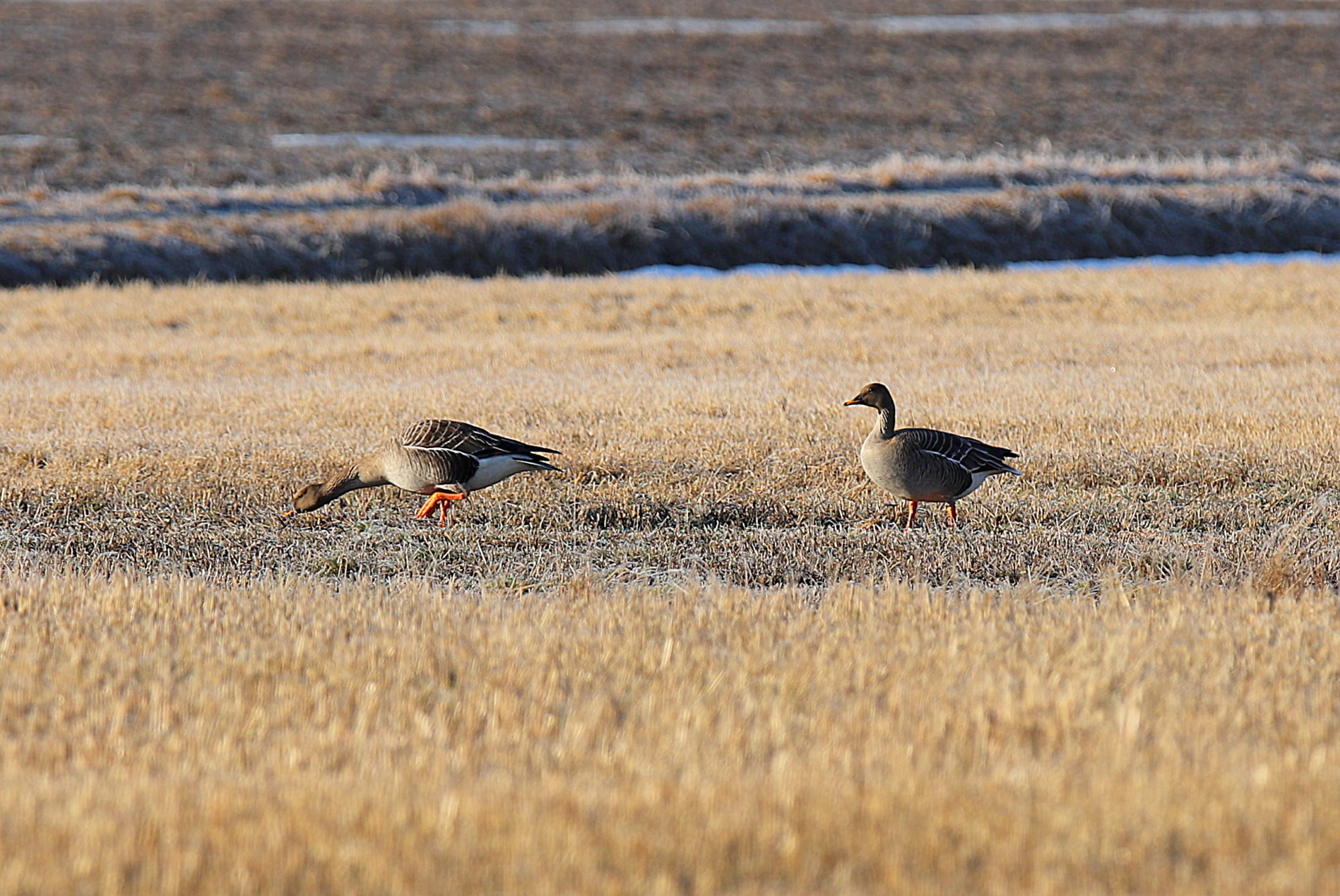 Valokuvaaja: sirpa jyske