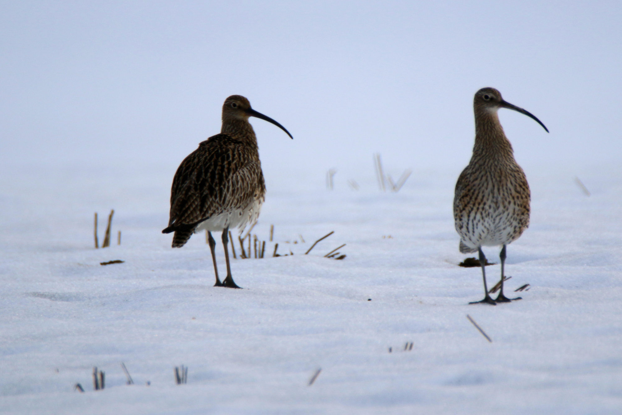 Valokuvaaja: Ahti Keränen