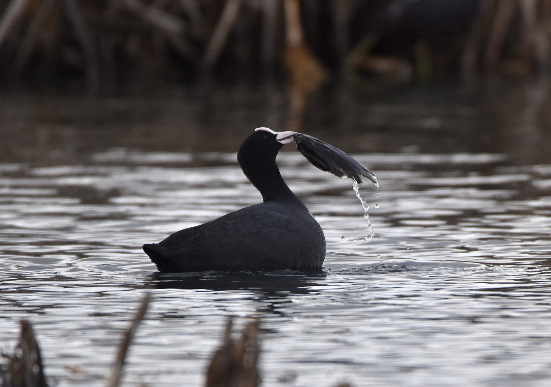 Valokuvaaja: Minna Mäkipää Valokuvaaja: Minna Mäkipää