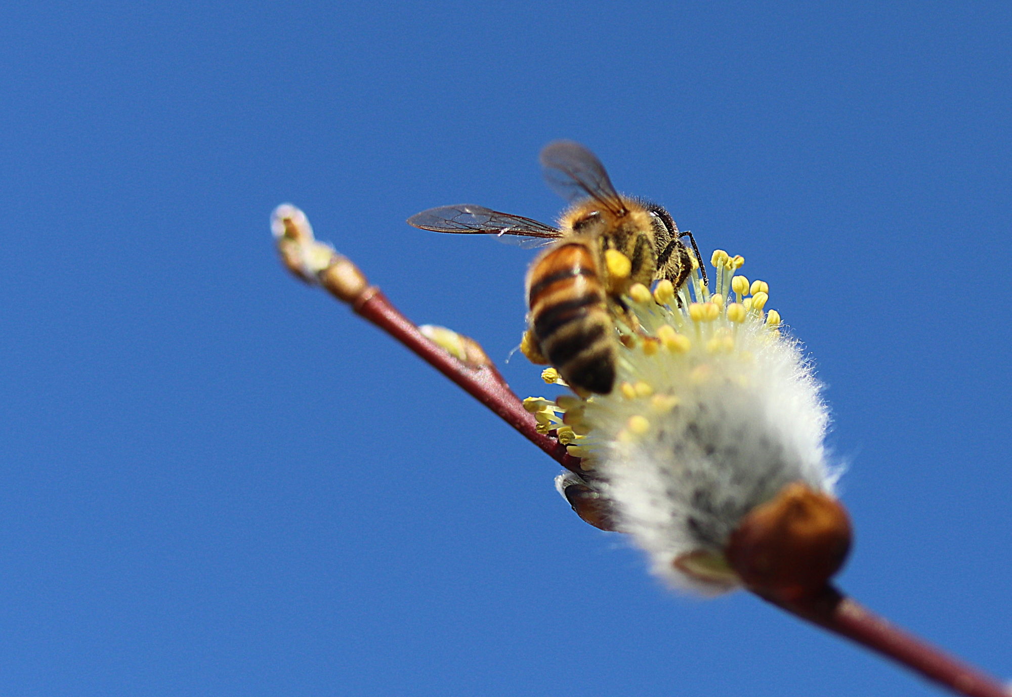 Valokuvaaja: sirpa jyske
