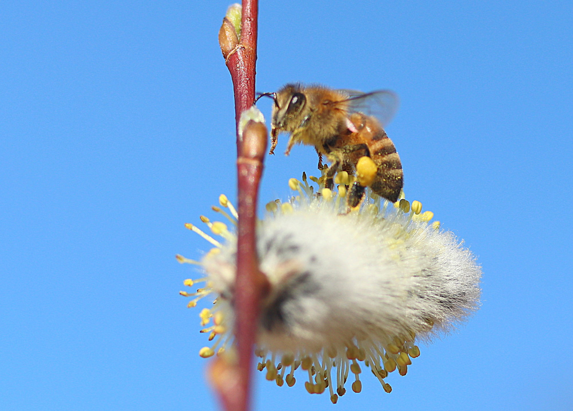 Valokuvaaja: sirpa jyske
