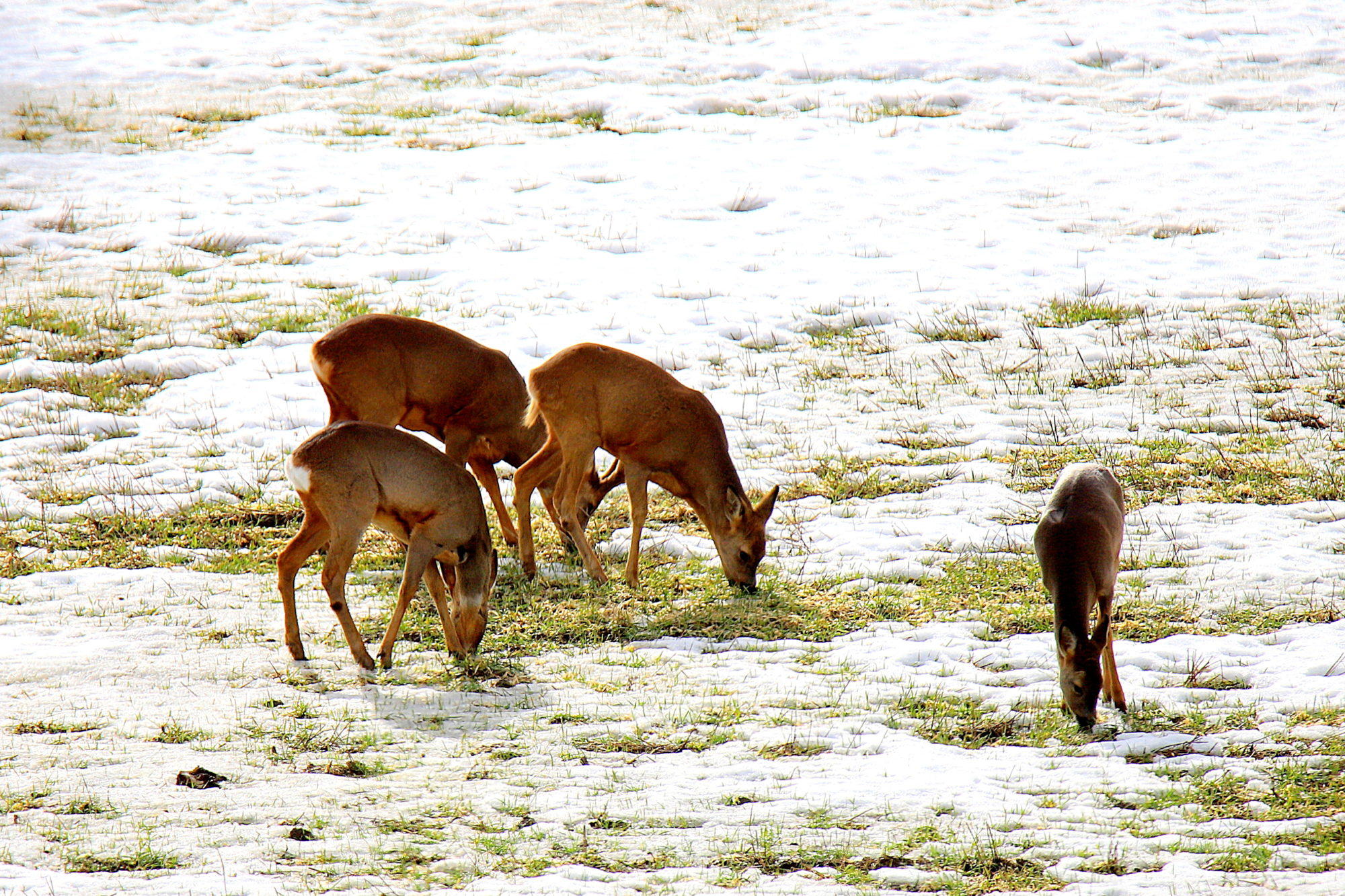 Valokuvaaja: sirpa jyske