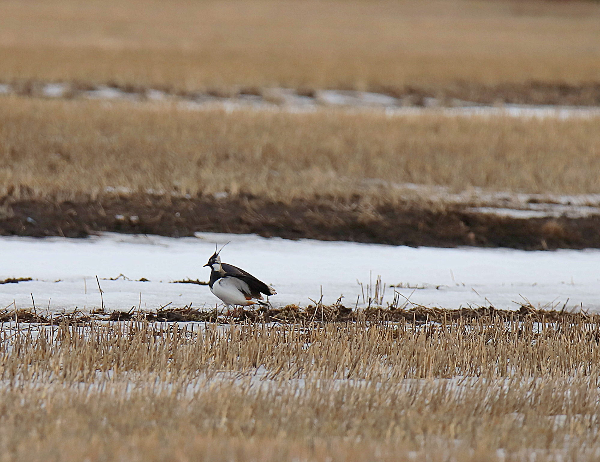 Valokuvaaja: sirpa jyske Valokuvaaja: sirpa jyske